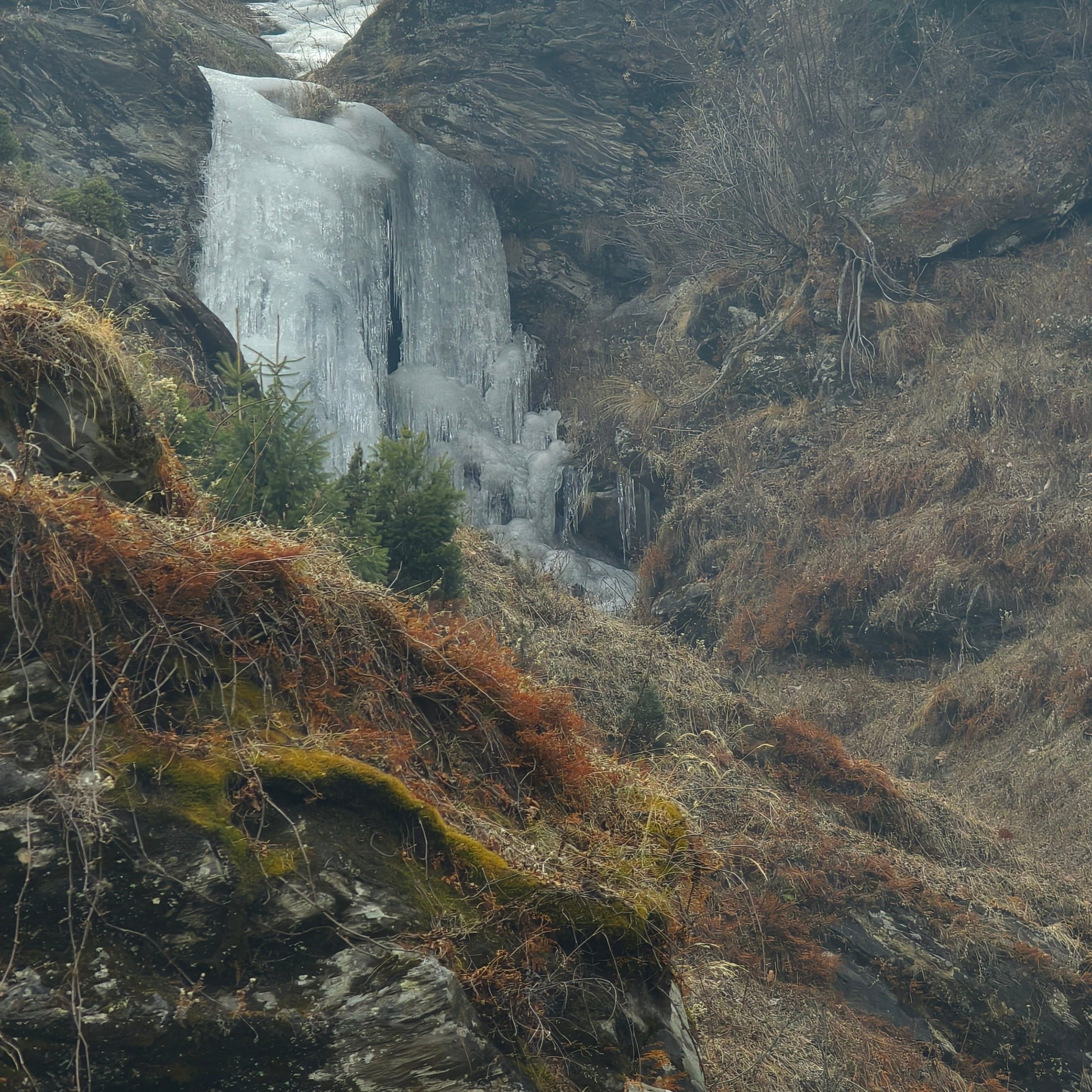 Путешествие в Долину Богов — Манали. Айгуль Лотфуллина. #АйгульТВ. Фотограф в Адлере и Сочи, Красной Поляне