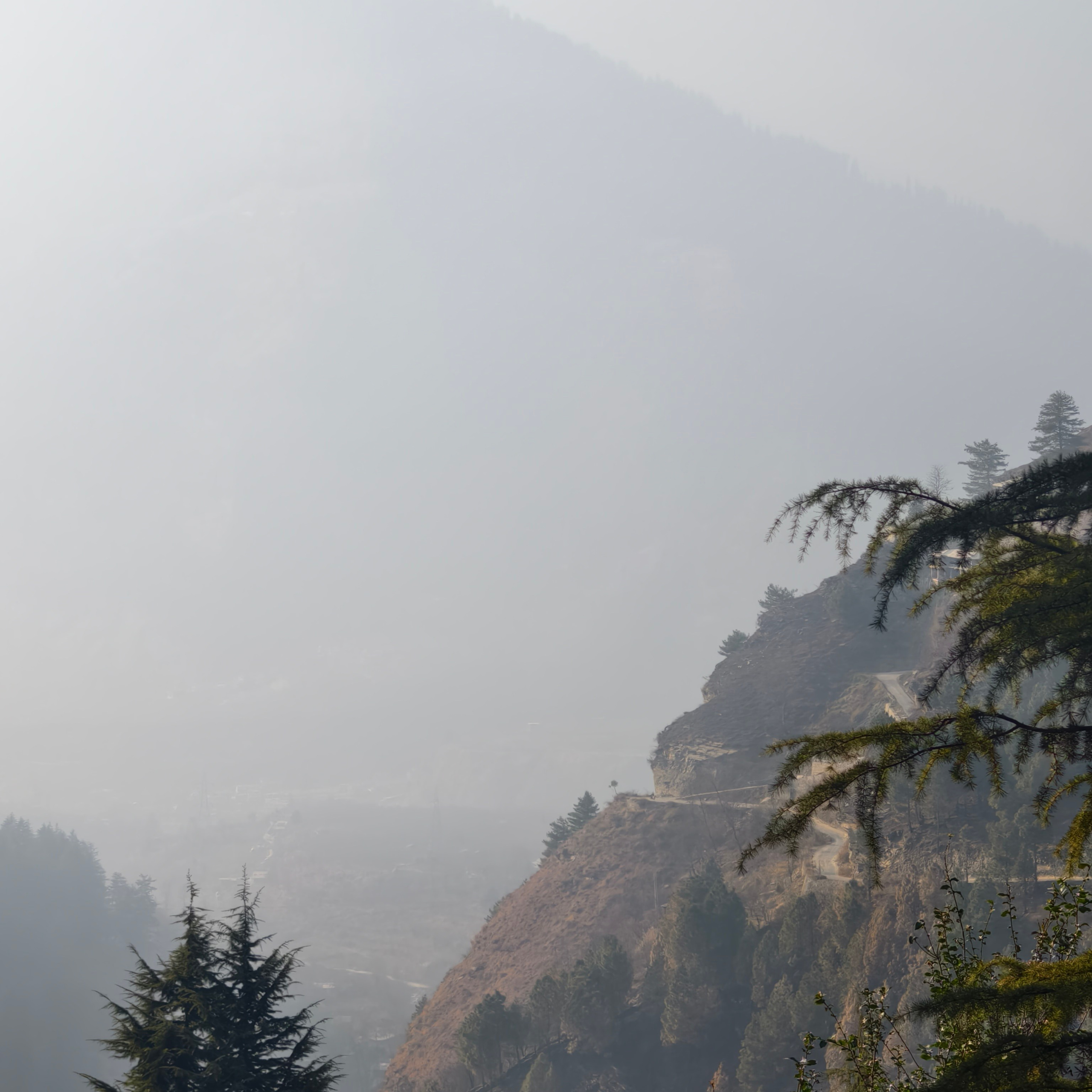 Путешествие в Долину Богов — Манали. Айгуль Лотфуллина. #АйгульТВ. Фотограф в Адлере и Сочи, Красной Поляне