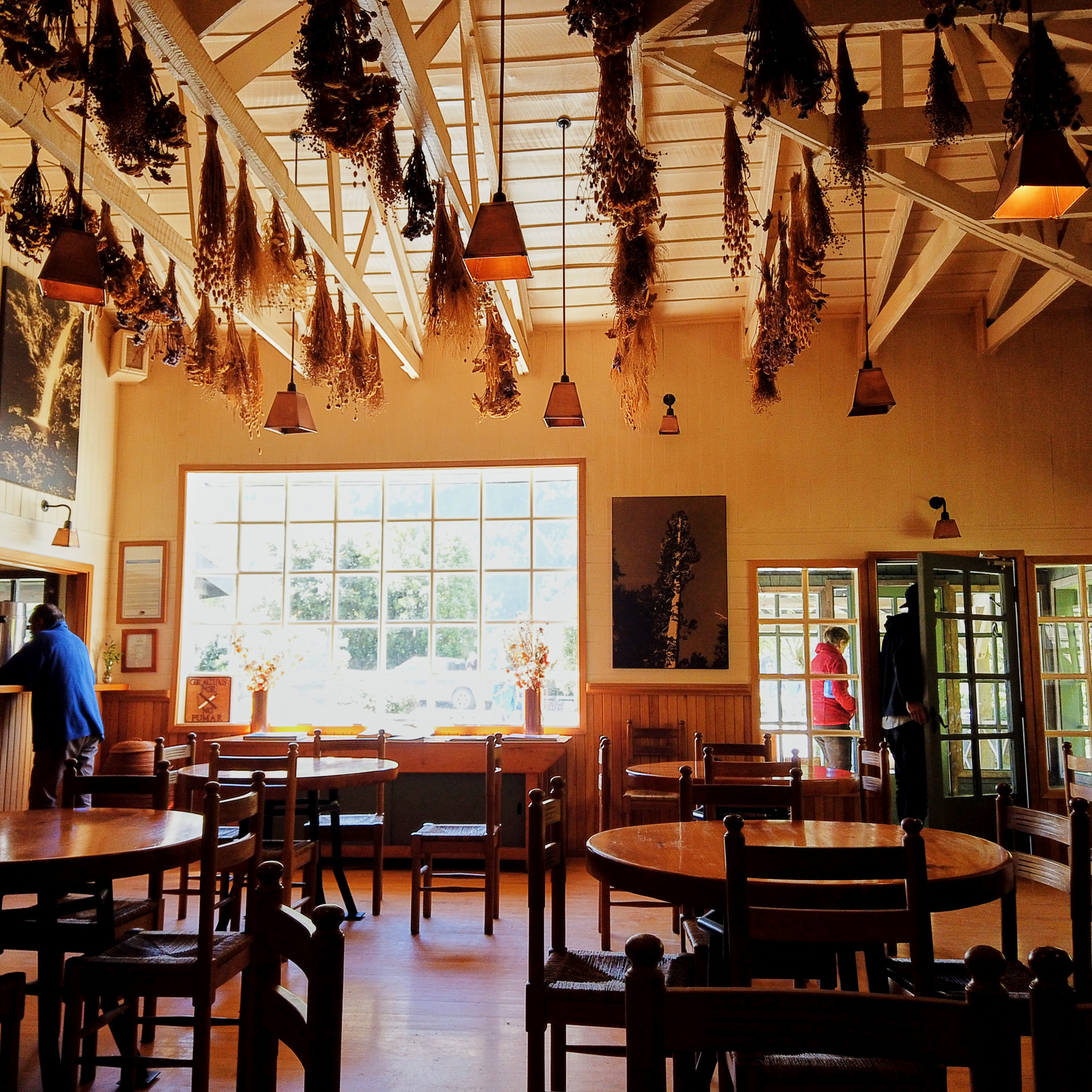 Патагония 2019. Айгуль Лотфуллина. #АйгульТВ. Фотограф в Адлере и Сочи, Красной Поляне