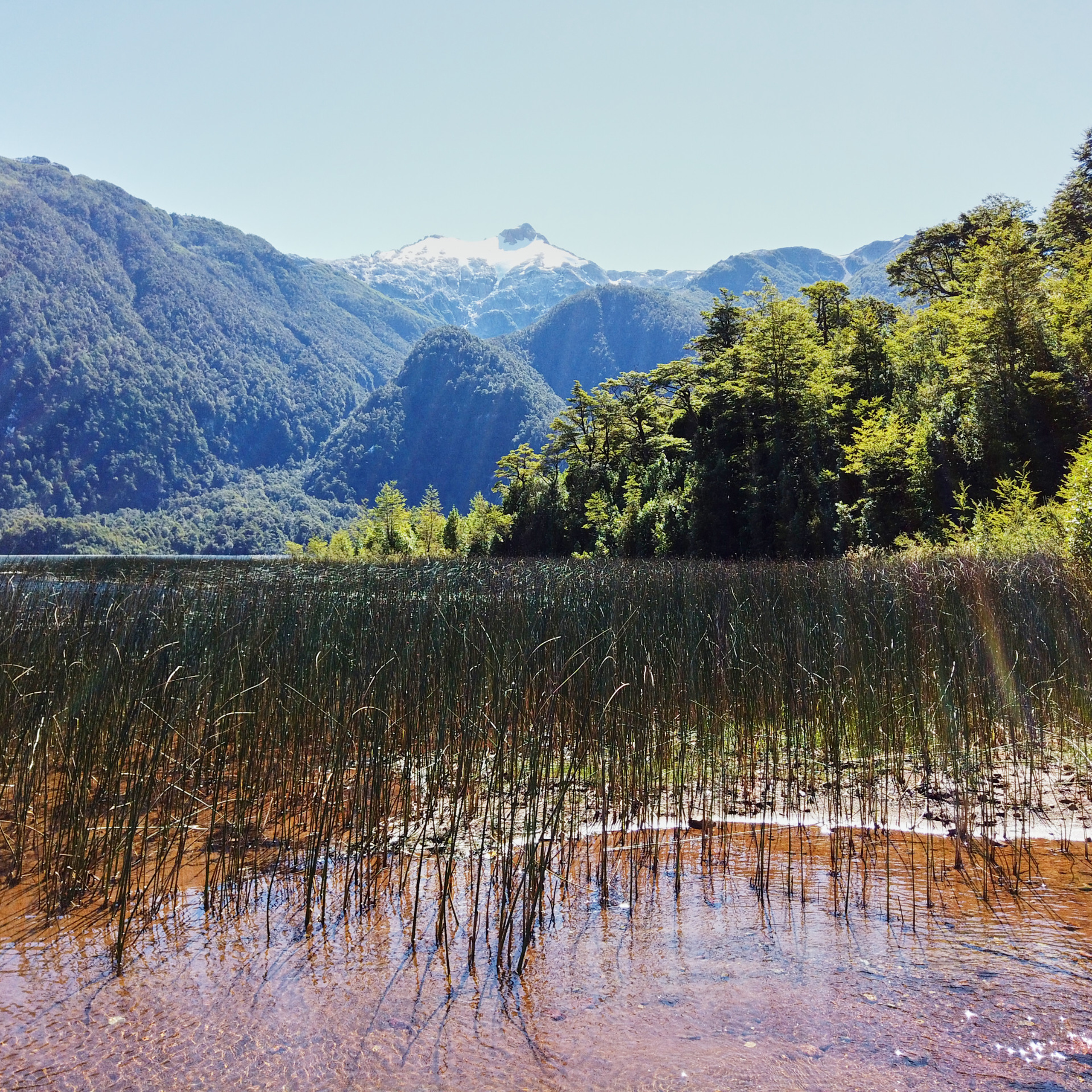 Патагония 2019. Айгуль Лотфуллина. #АйгульТВ. Фотограф в Адлере и Сочи, Красной Поляне
