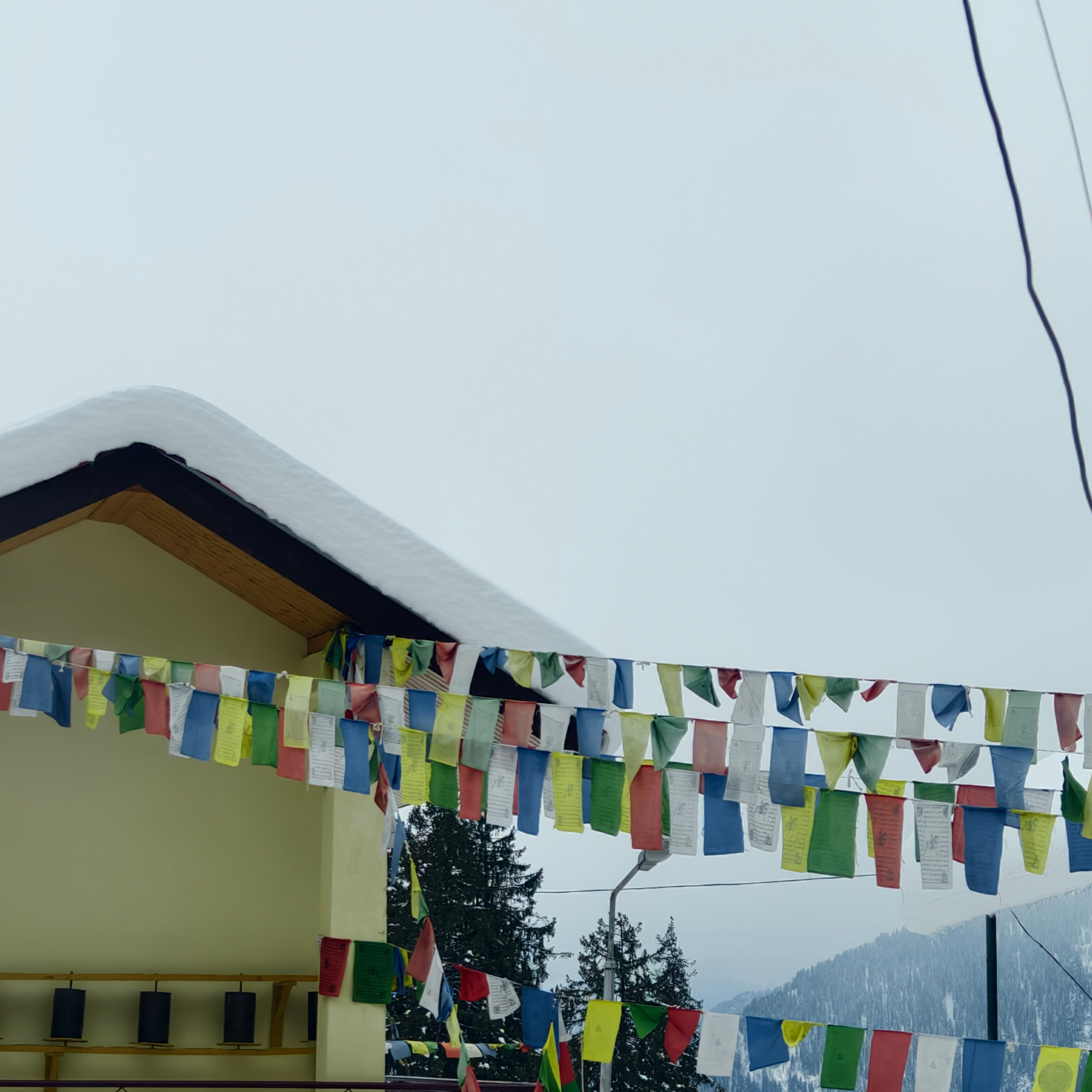 Путешествие в Долину Богов — Манали. Айгуль Лотфуллина. #АйгульТВ. Фотограф в Адлере и Сочи, Красной Поляне