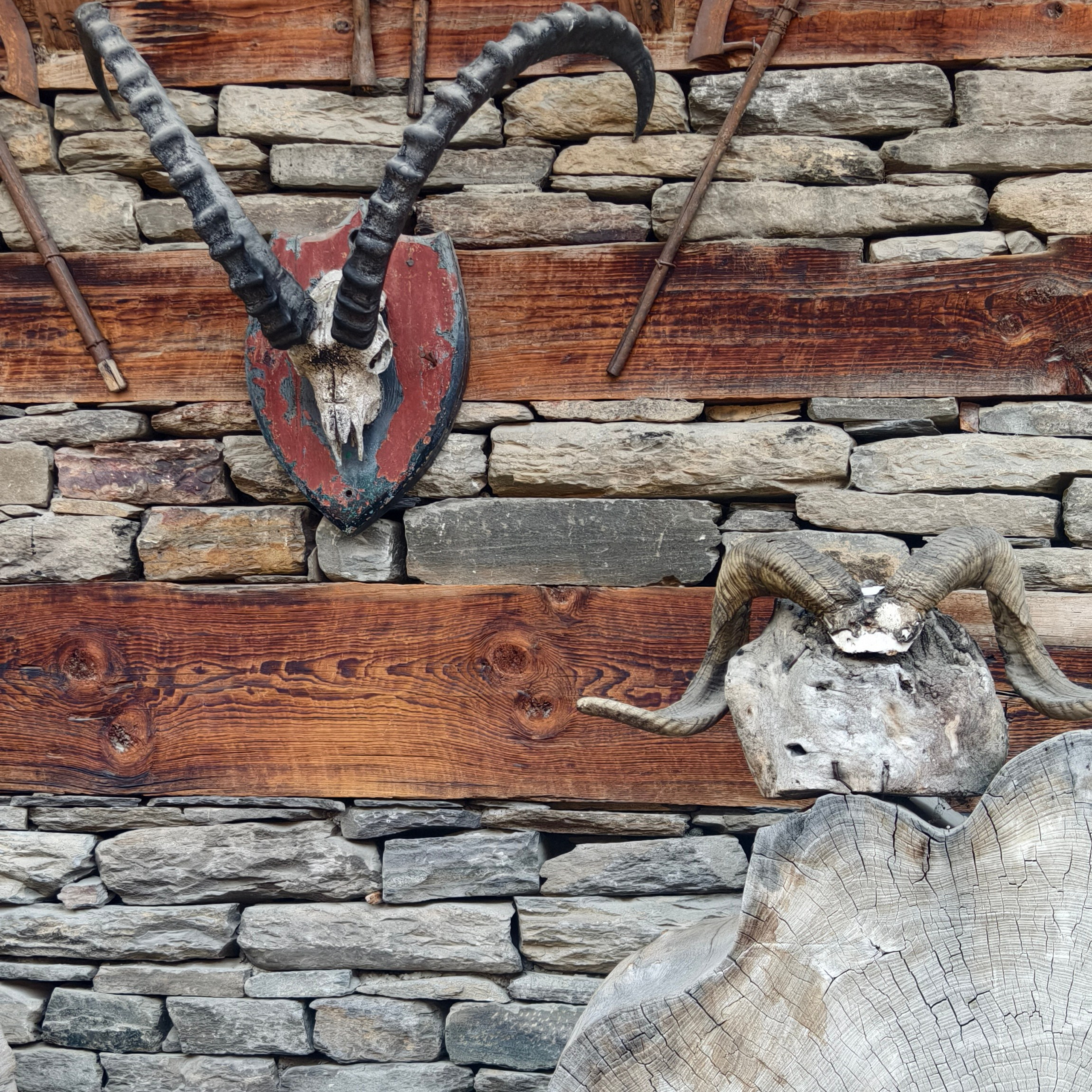 Путешествие в Долину Богов — Манали. Айгуль Лотфуллина. #АйгульТВ. Фотограф в Адлере и Сочи, Красной Поляне