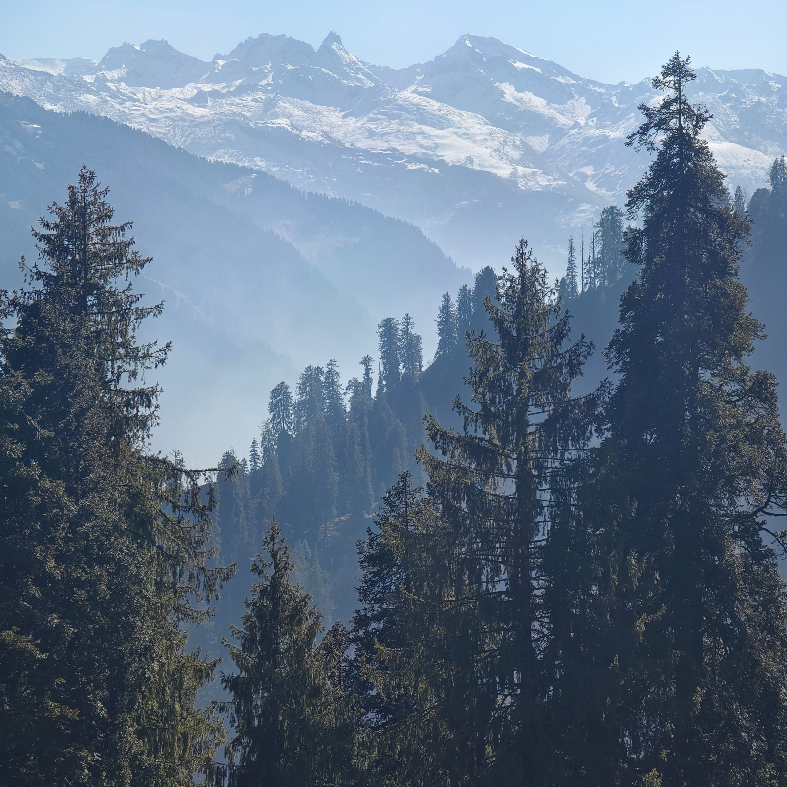 Путешествие в Долину Богов — Манали. Айгуль Лотфуллина. #АйгульТВ. Фотограф в Адлере и Сочи, Красной Поляне