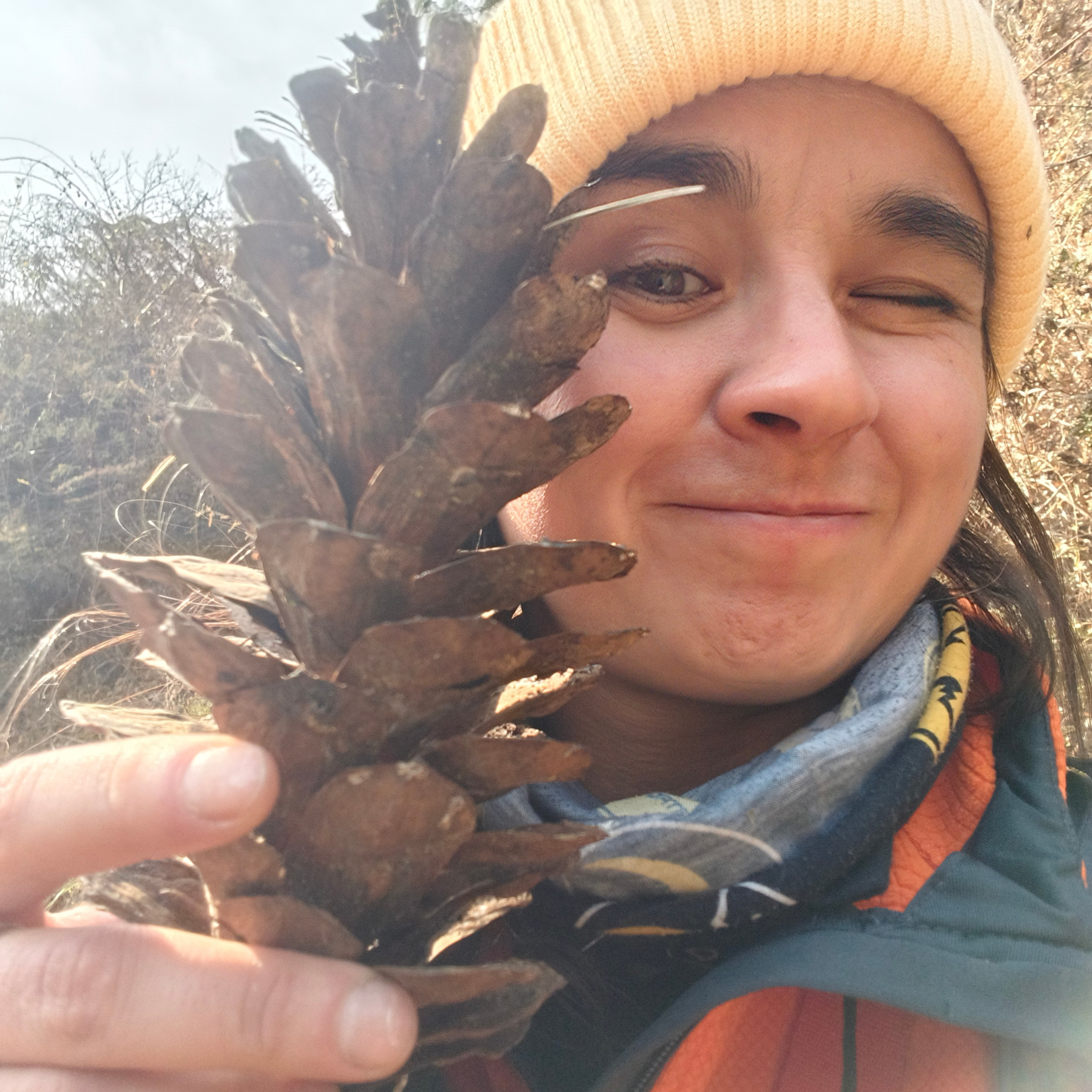 Путешествие в Долину Богов — Манали. Айгуль Лотфуллина. #АйгульТВ. Фотограф в Адлере и Сочи, Красной Поляне