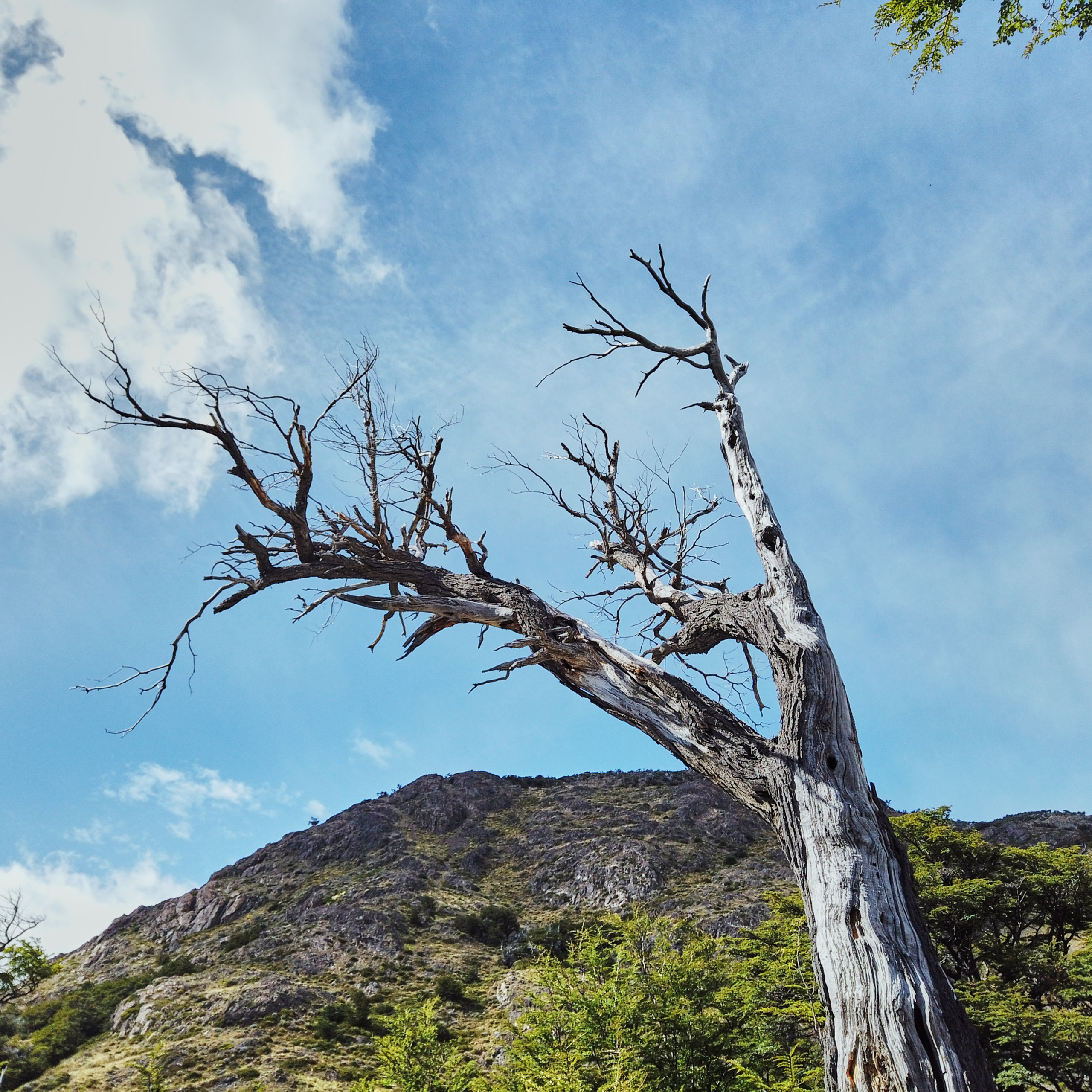Патагония 2019. Айгуль Лотфуллина. #АйгульТВ. Фотограф в Адлере и Сочи, Красной Поляне