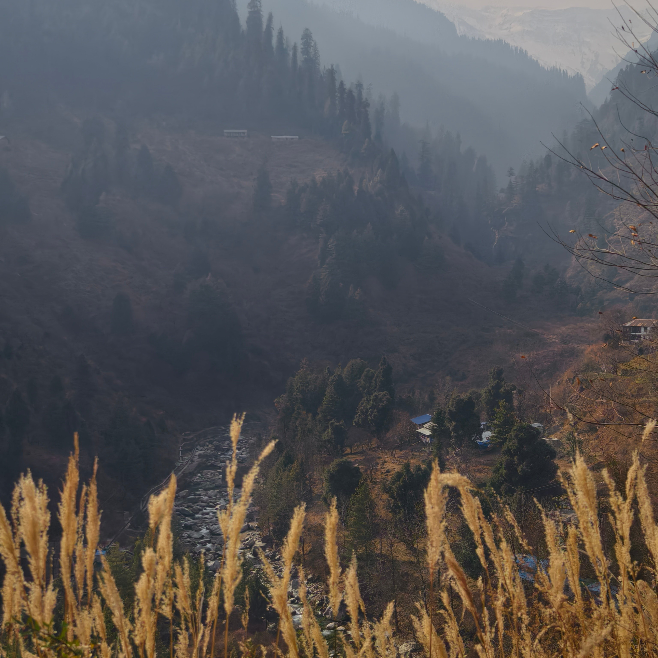 Путешествие в Долину Богов — Манали. Айгуль Лотфуллина. #АйгульТВ. Фотограф в Адлере и Сочи, Красной Поляне