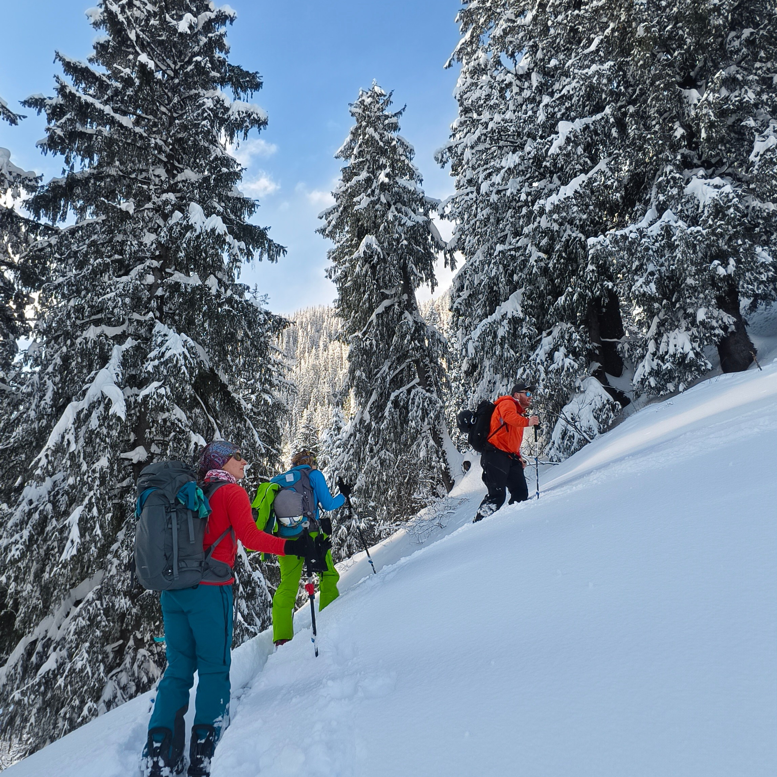 Путешествие в Долину Богов — Манали. Айгуль Лотфуллина. #АйгульТВ. Фотограф в Адлере и Сочи, Красной Поляне