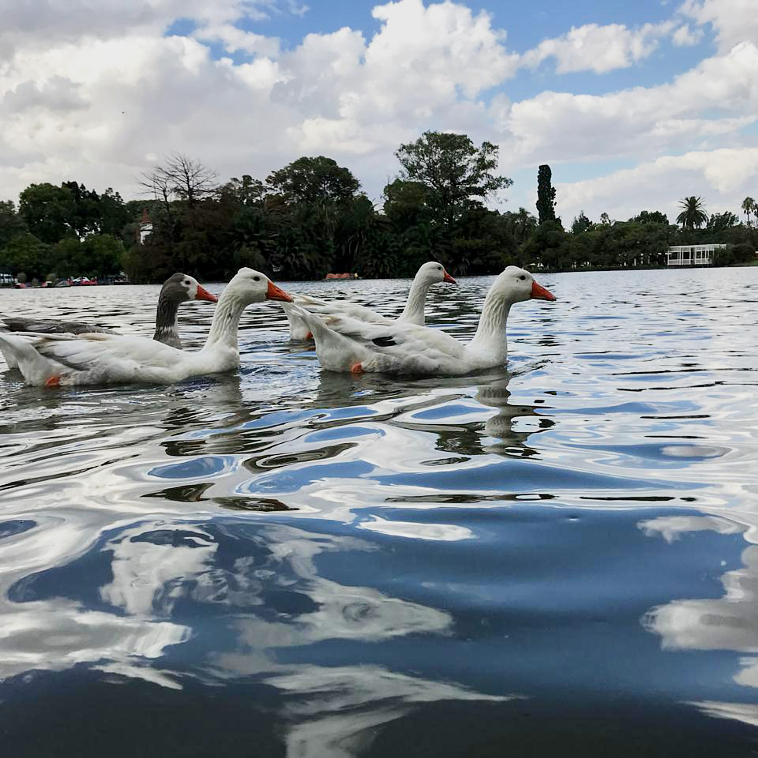 Патагония 2019. Айгуль Лотфуллина. #АйгульТВ. Фотограф в Адлере и Сочи, Красной Поляне