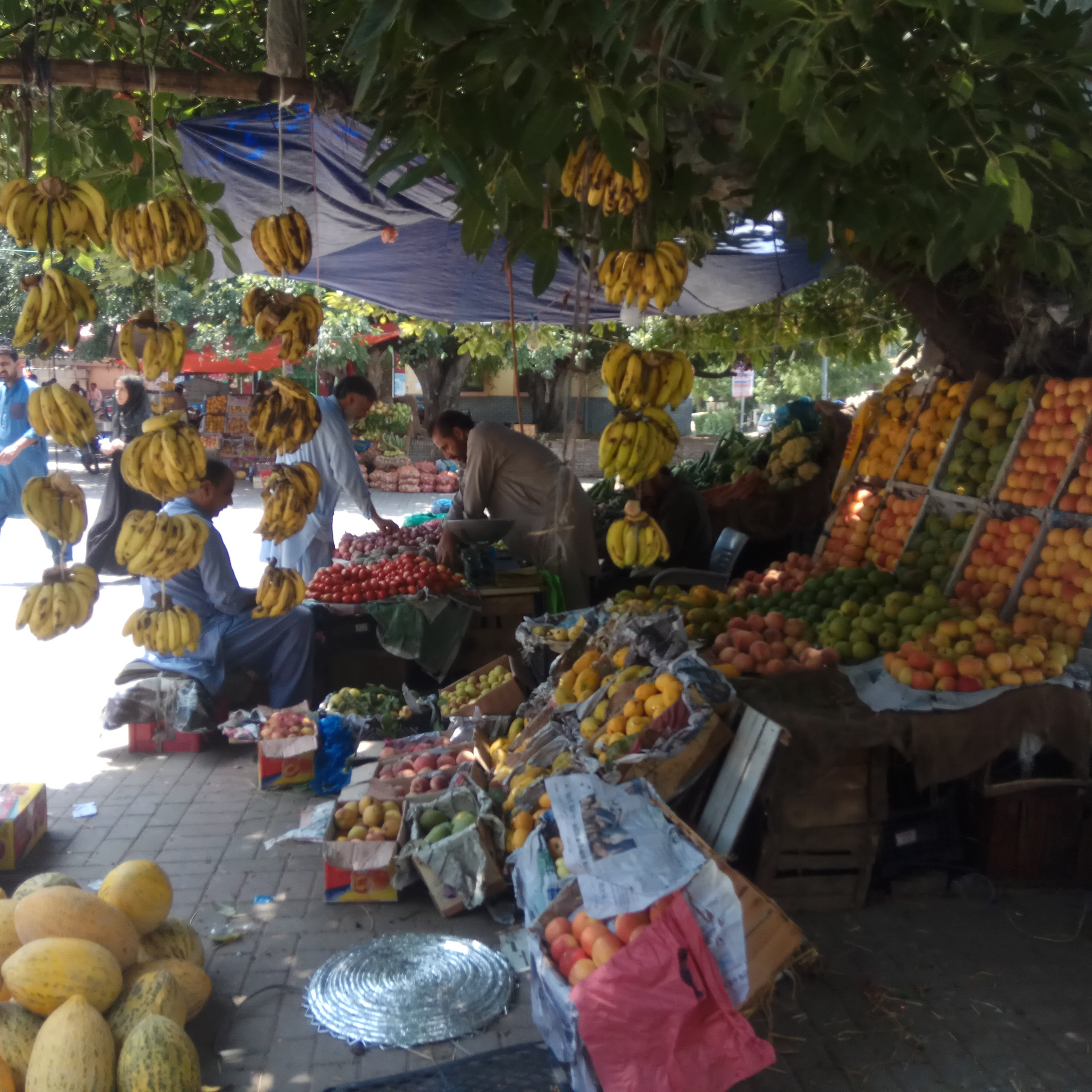 Пакистан 2019, путевые заметки, Лотфуллина Айгуль. Айгуль Лотфуллина. #АйгульТВ. Фотограф в Адлере и Сочи, Красной Поляне