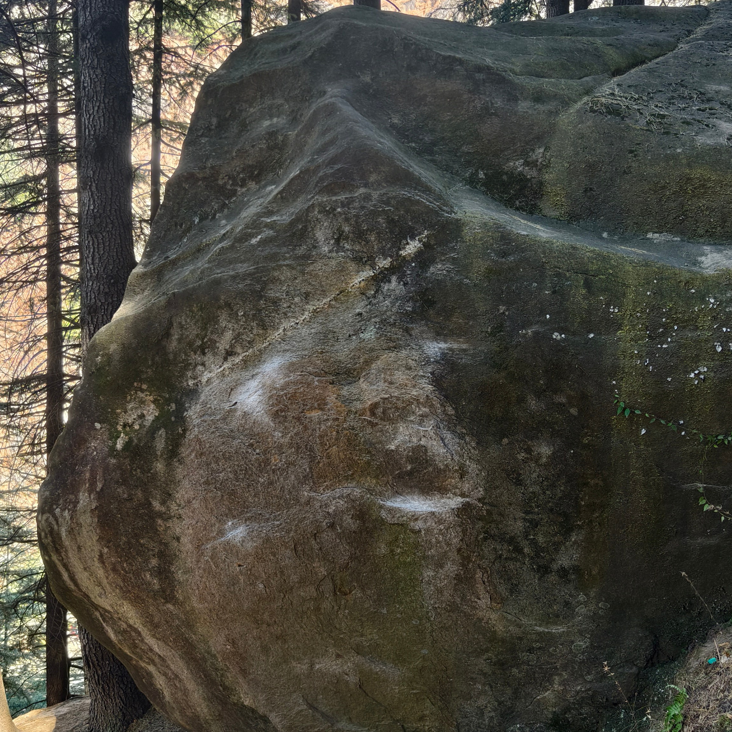 Путешествие в Долину Богов — Манали. Айгуль Лотфуллина. #АйгульТВ. Фотограф в Адлере и Сочи, Красной Поляне