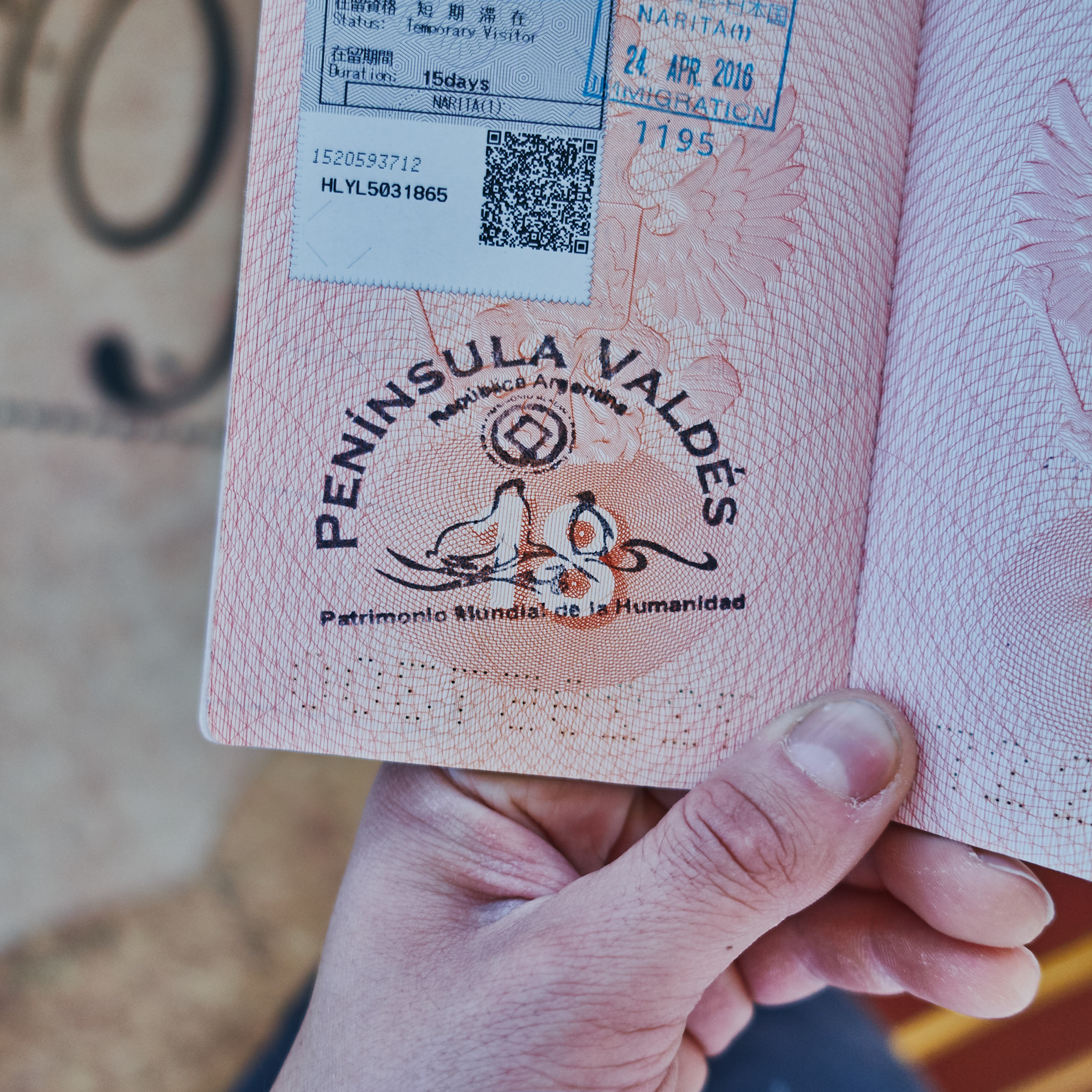 Патагония 2019. Айгуль Лотфуллина. #АйгульТВ. Фотограф в Адлере и Сочи, Красной Поляне