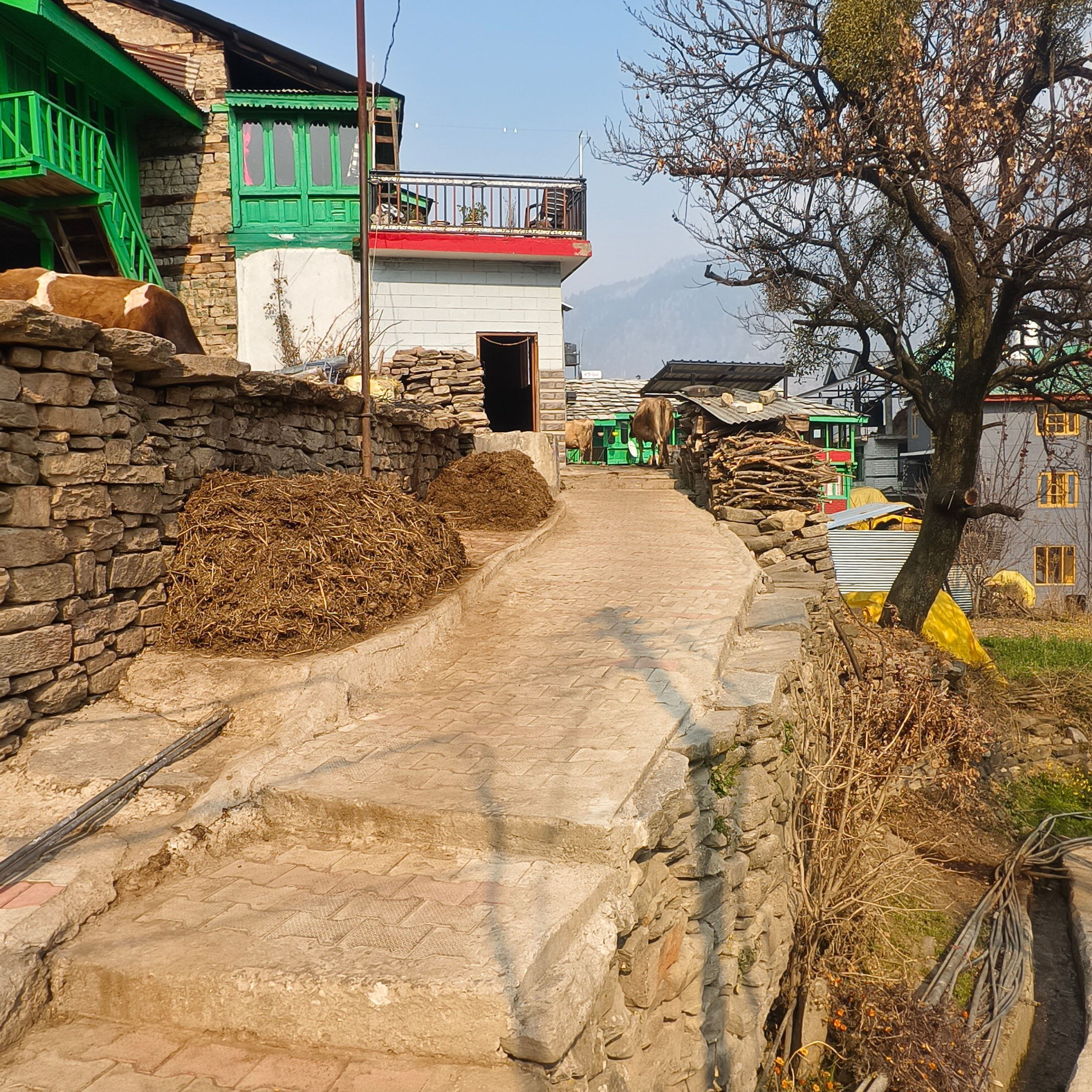 Путешествие в Долину Богов — Манали. Айгуль Лотфуллина. #АйгульТВ. Фотограф в Адлере и Сочи, Красной Поляне