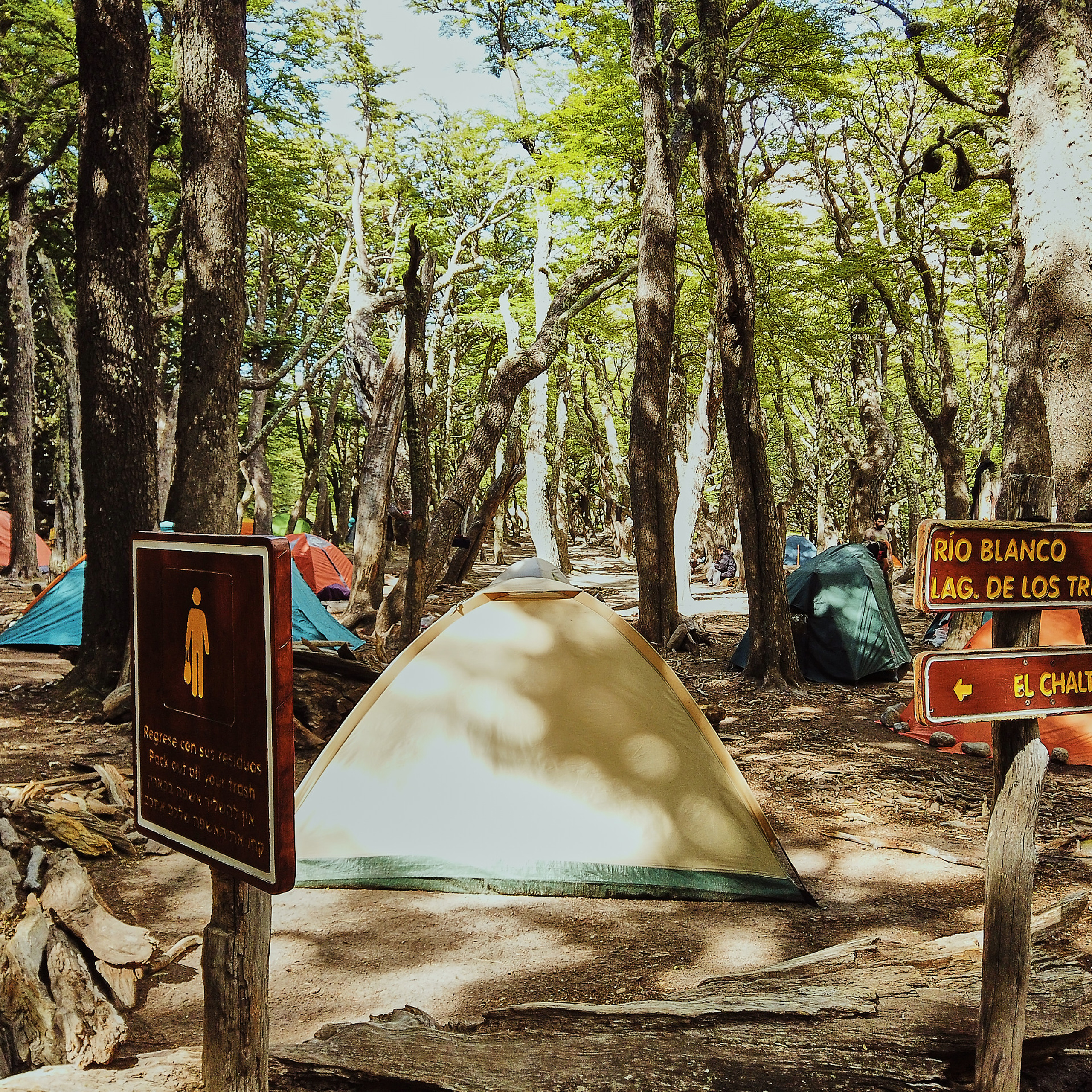 Патагония 2019. Айгуль Лотфуллина. #АйгульТВ. Фотограф в Адлере и Сочи, Красной Поляне