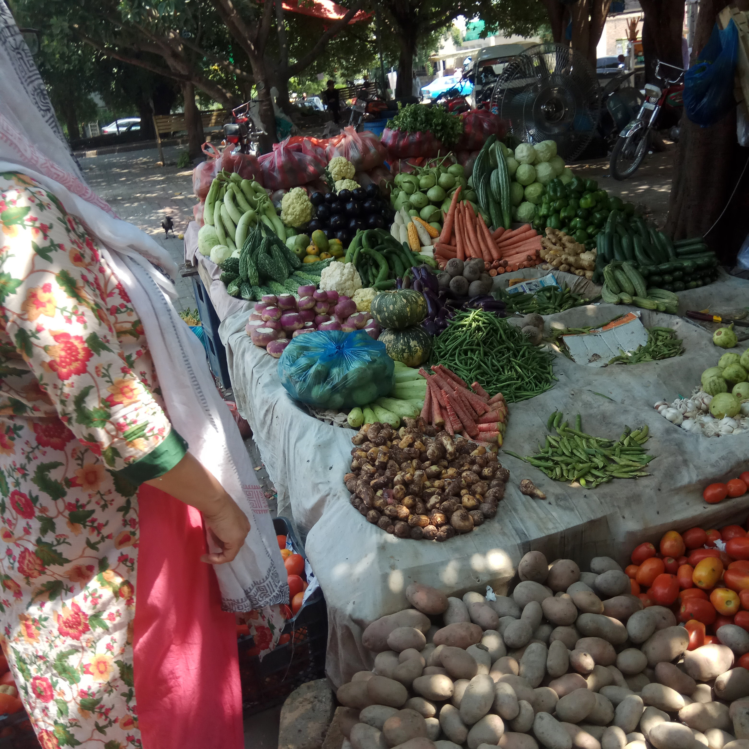 Пакистан 2019, путевые заметки, Лотфуллина Айгуль. Айгуль Лотфуллина. #АйгульТВ. Фотограф в Адлере и Сочи, Красной Поляне