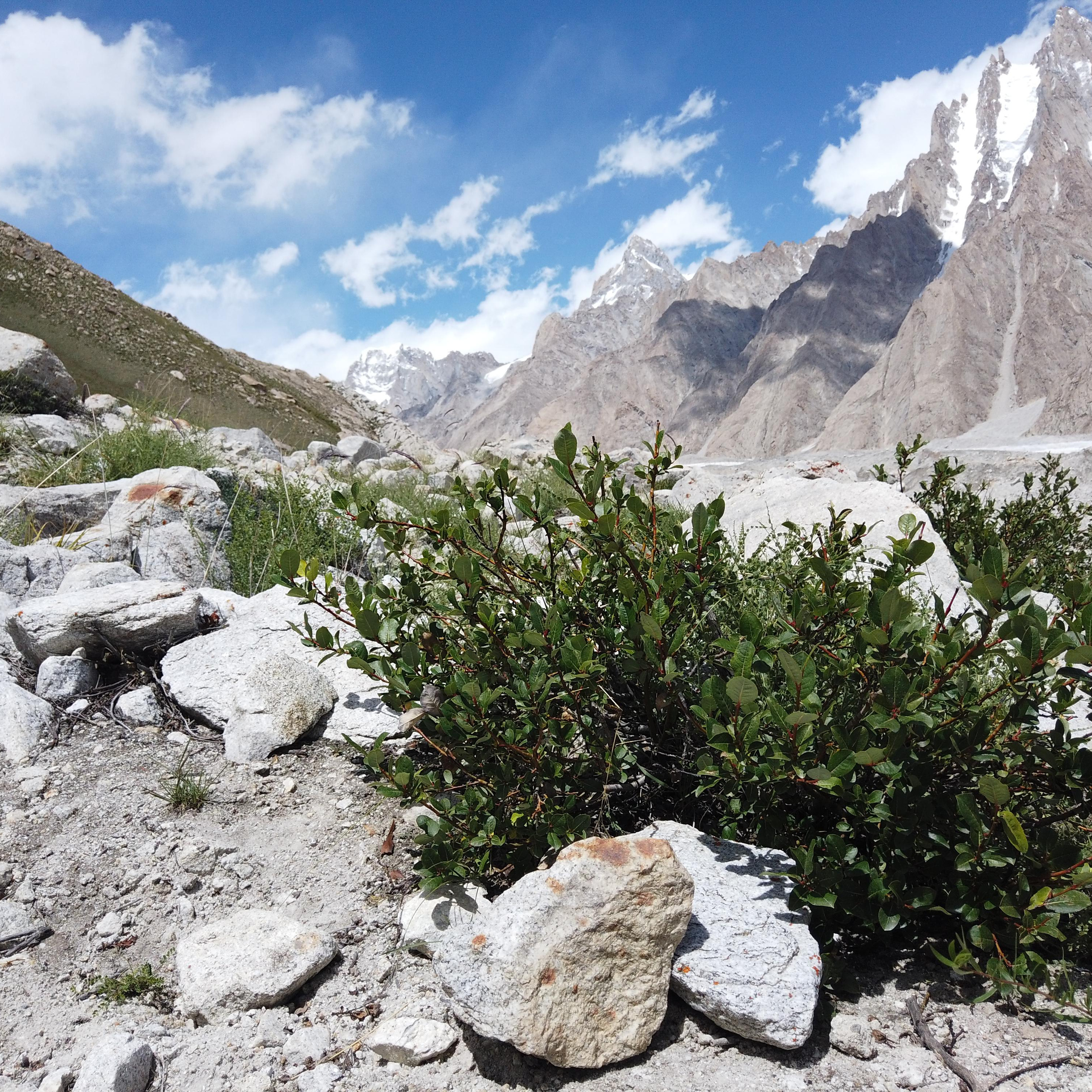 Пакистан 2019, путевые заметки, Лотфуллина Айгуль. Айгуль Лотфуллина. #АйгульТВ. Фотограф в Адлере и Сочи, Красной Поляне
