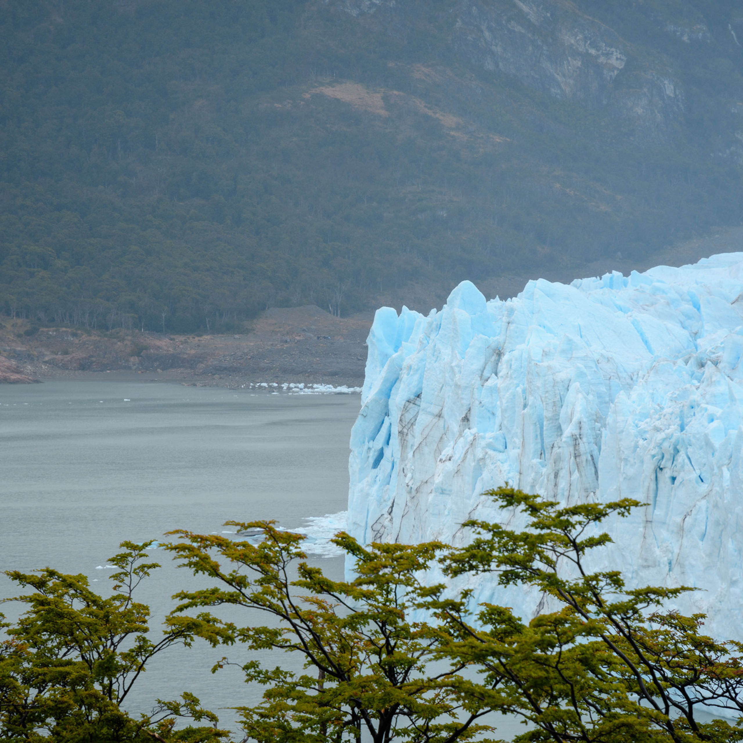Патагония 2019. Айгуль Лотфуллина. #АйгульТВ. Фотограф в Адлере и Сочи, Красной Поляне