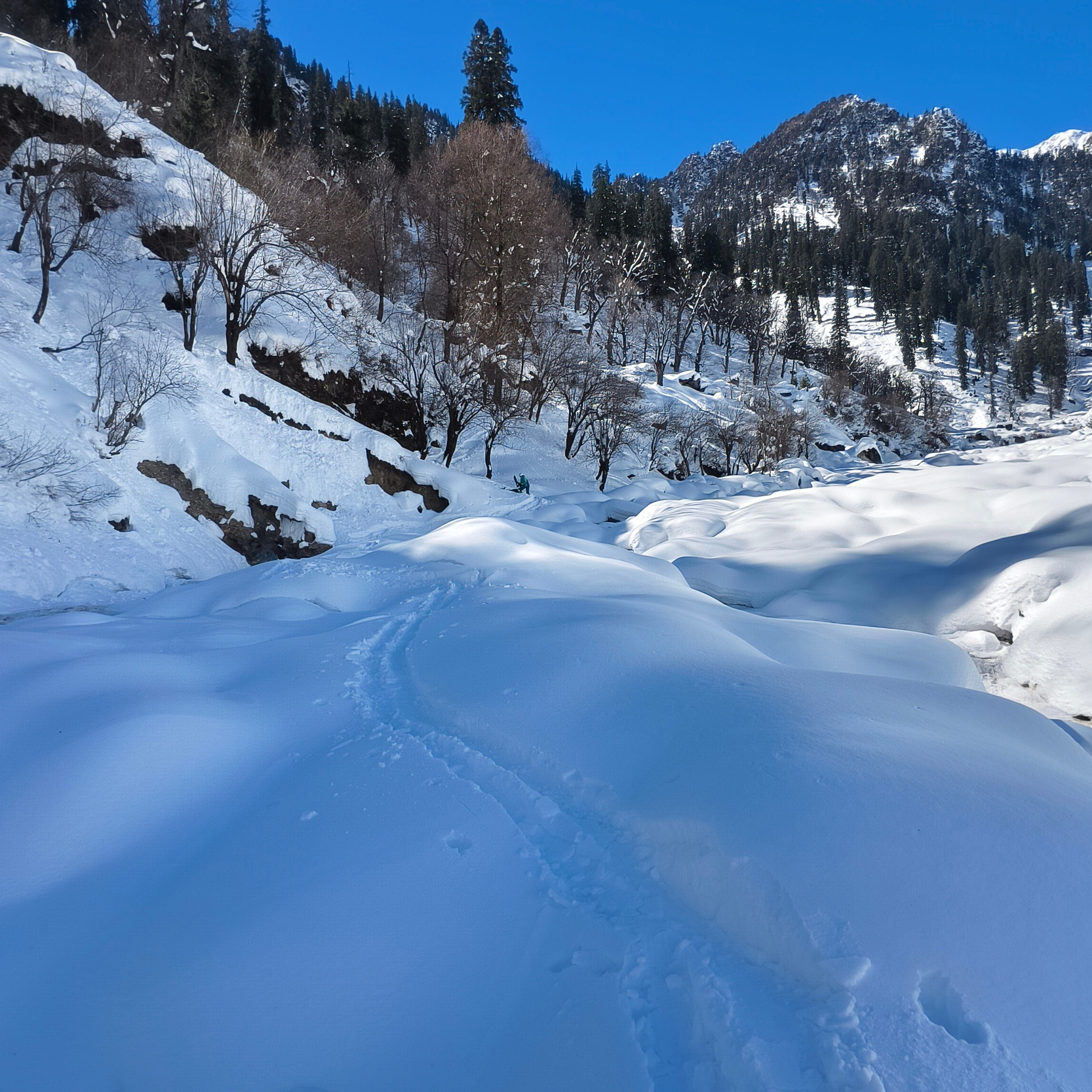 Путешествие в Долину Богов — Манали. Айгуль Лотфуллина. #АйгульТВ. Фотограф в Адлере и Сочи, Красной Поляне