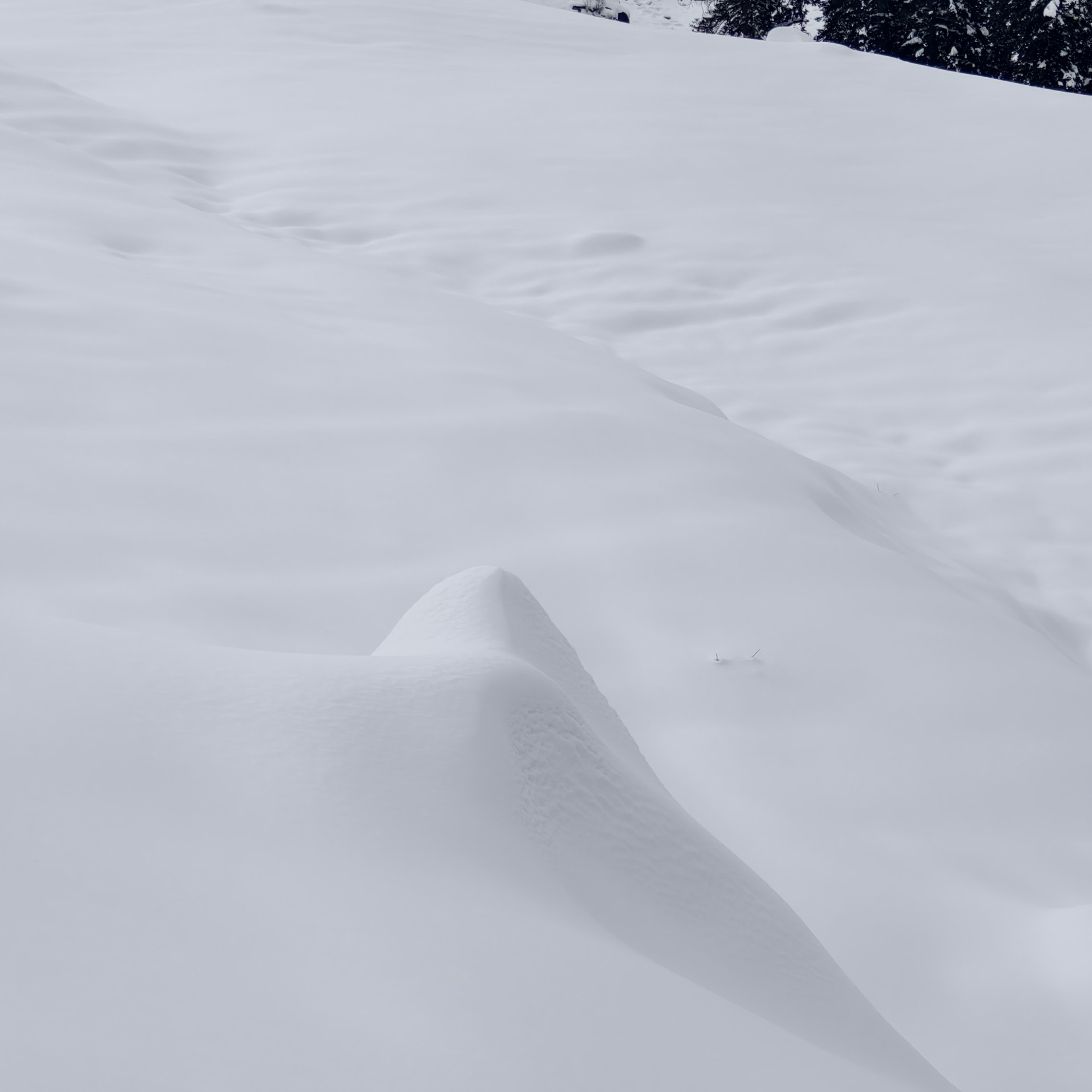 Путешествие в Долину Богов — Манали. Айгуль Лотфуллина. #АйгульТВ. Фотограф в Адлере и Сочи, Красной Поляне