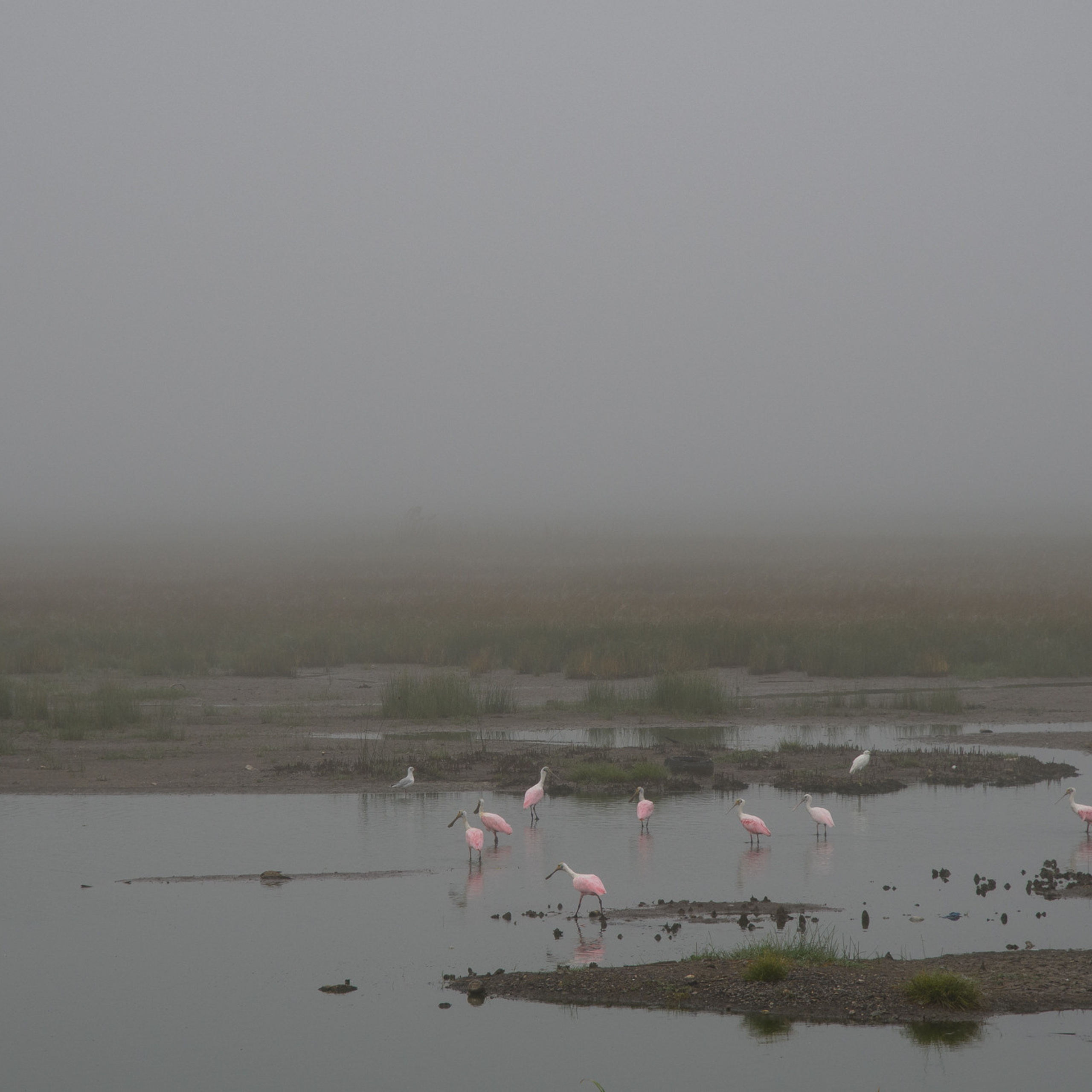 Патагония 2019. Айгуль Лотфуллина. #АйгульТВ. Фотограф в Адлере и Сочи, Красной Поляне