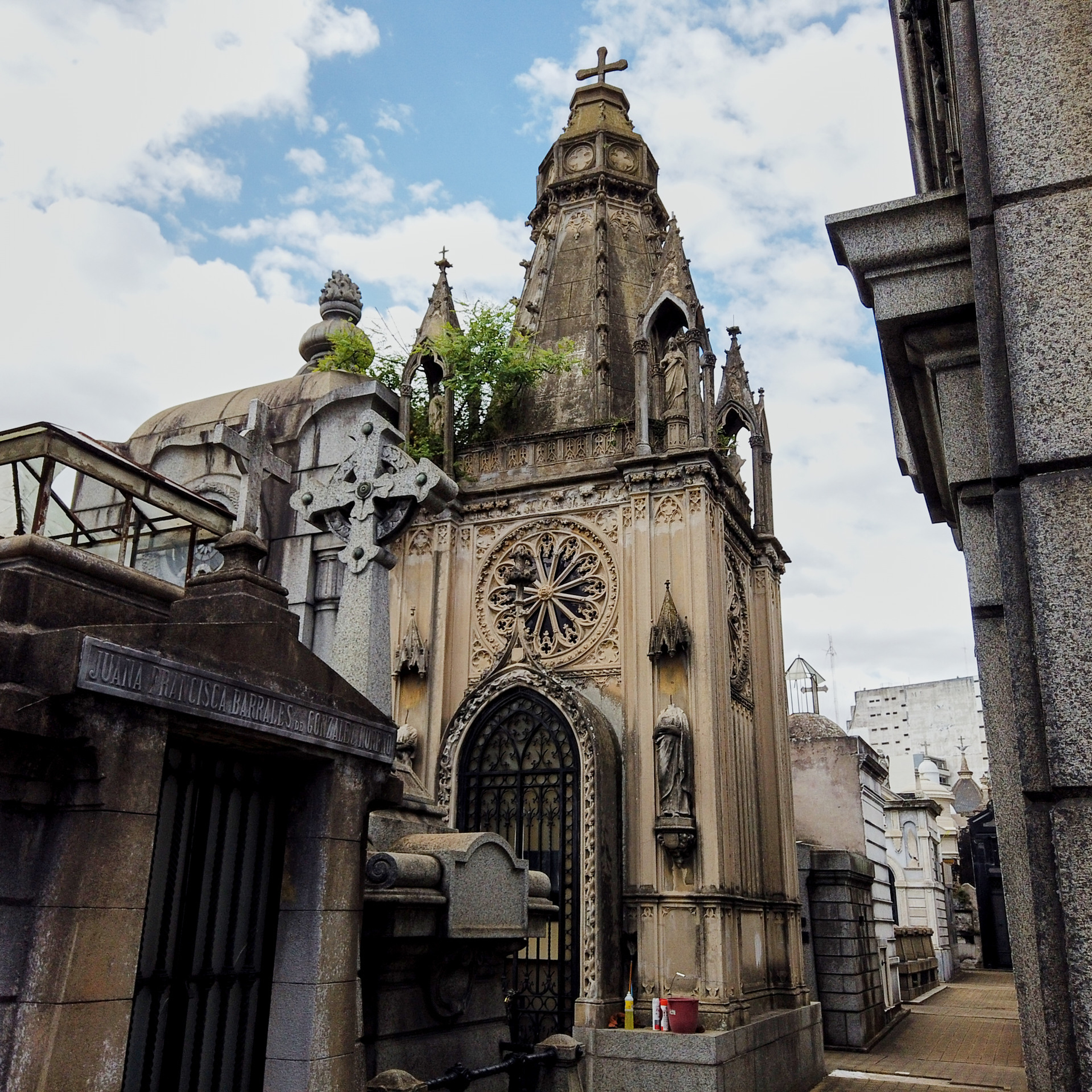 Патагония 2019. Айгуль Лотфуллина. #АйгульТВ. Фотограф в Адлере и Сочи, Красной Поляне