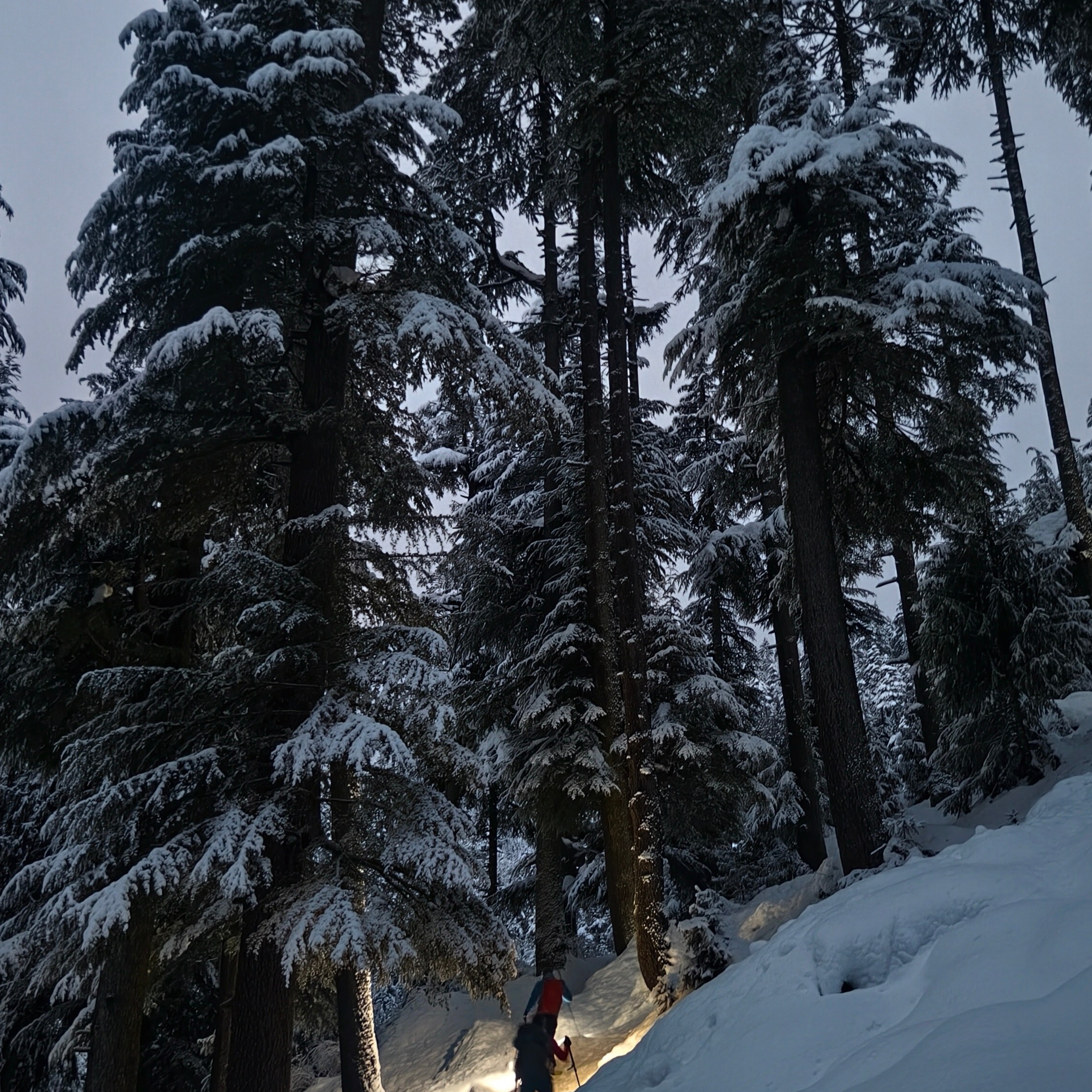 Путешествие в Долину Богов — Манали. Айгуль Лотфуллина. #АйгульТВ. Фотограф в Адлере и Сочи, Красной Поляне
