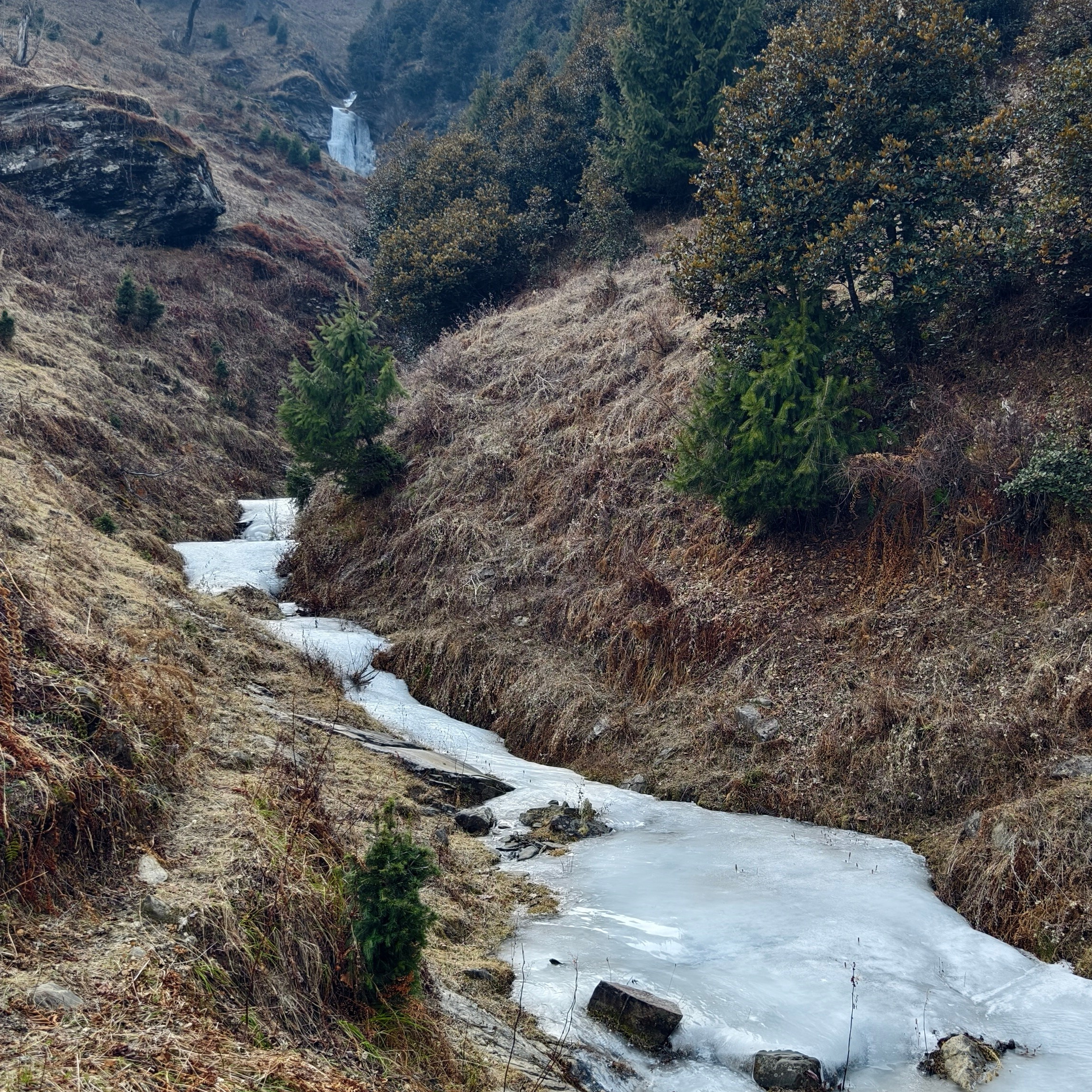 Путешествие в Долину Богов — Манали. Айгуль Лотфуллина. #АйгульТВ. Фотограф в Адлере и Сочи, Красной Поляне