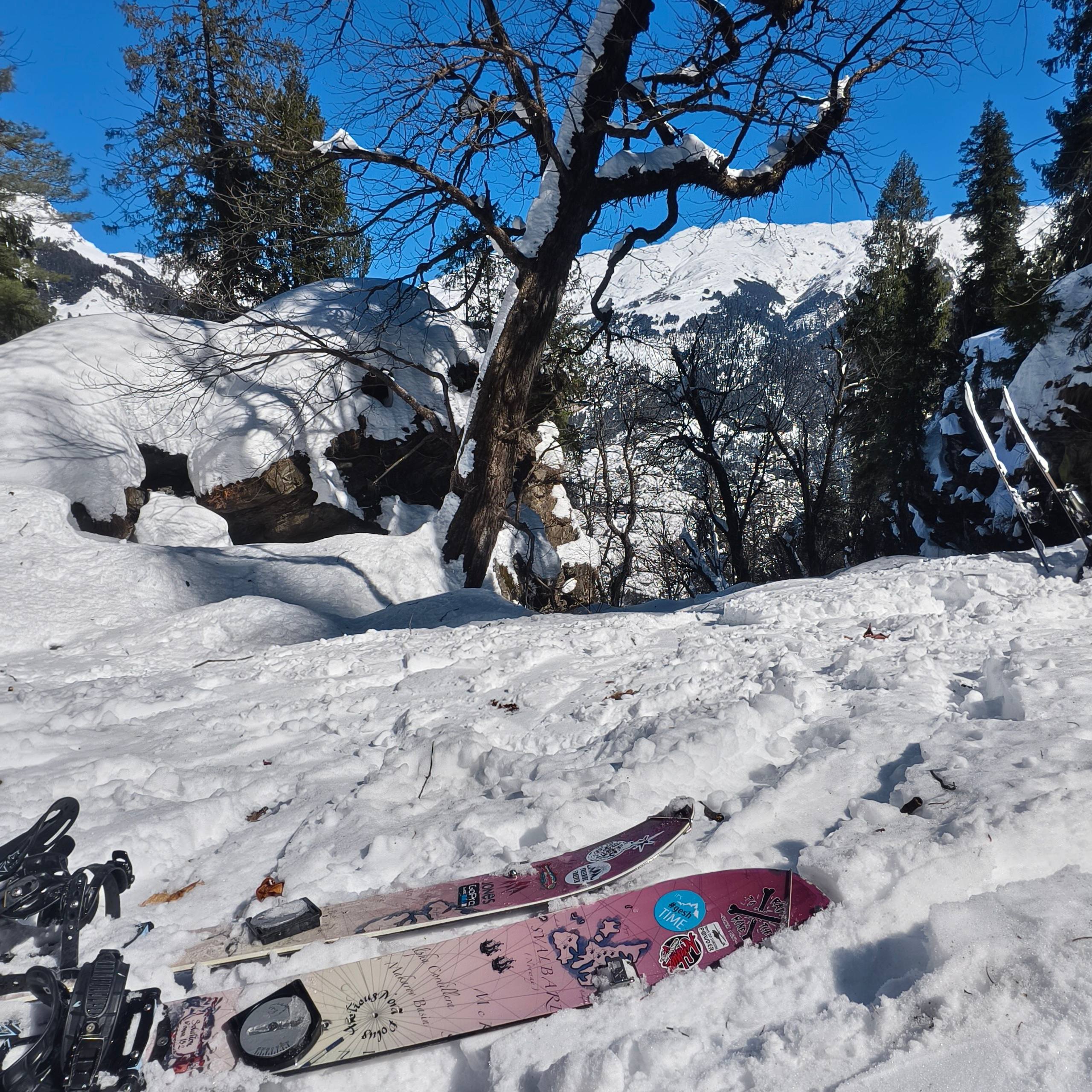 Путешествие в Долину Богов — Манали. Айгуль Лотфуллина. #АйгульТВ. Фотограф в Адлере и Сочи, Красной Поляне