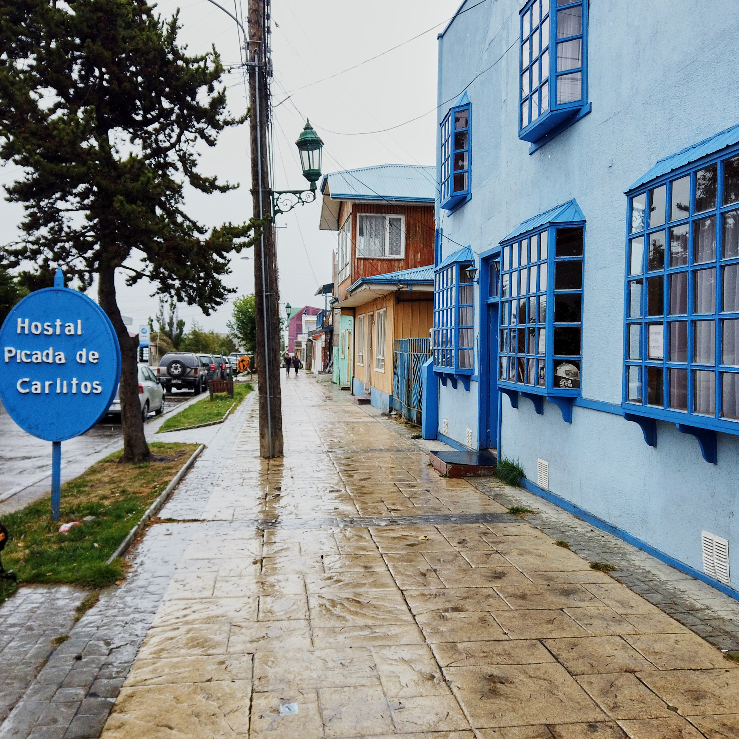 Патагония 2019. Айгуль Лотфуллина. #АйгульТВ. Фотограф в Адлере и Сочи, Красной Поляне