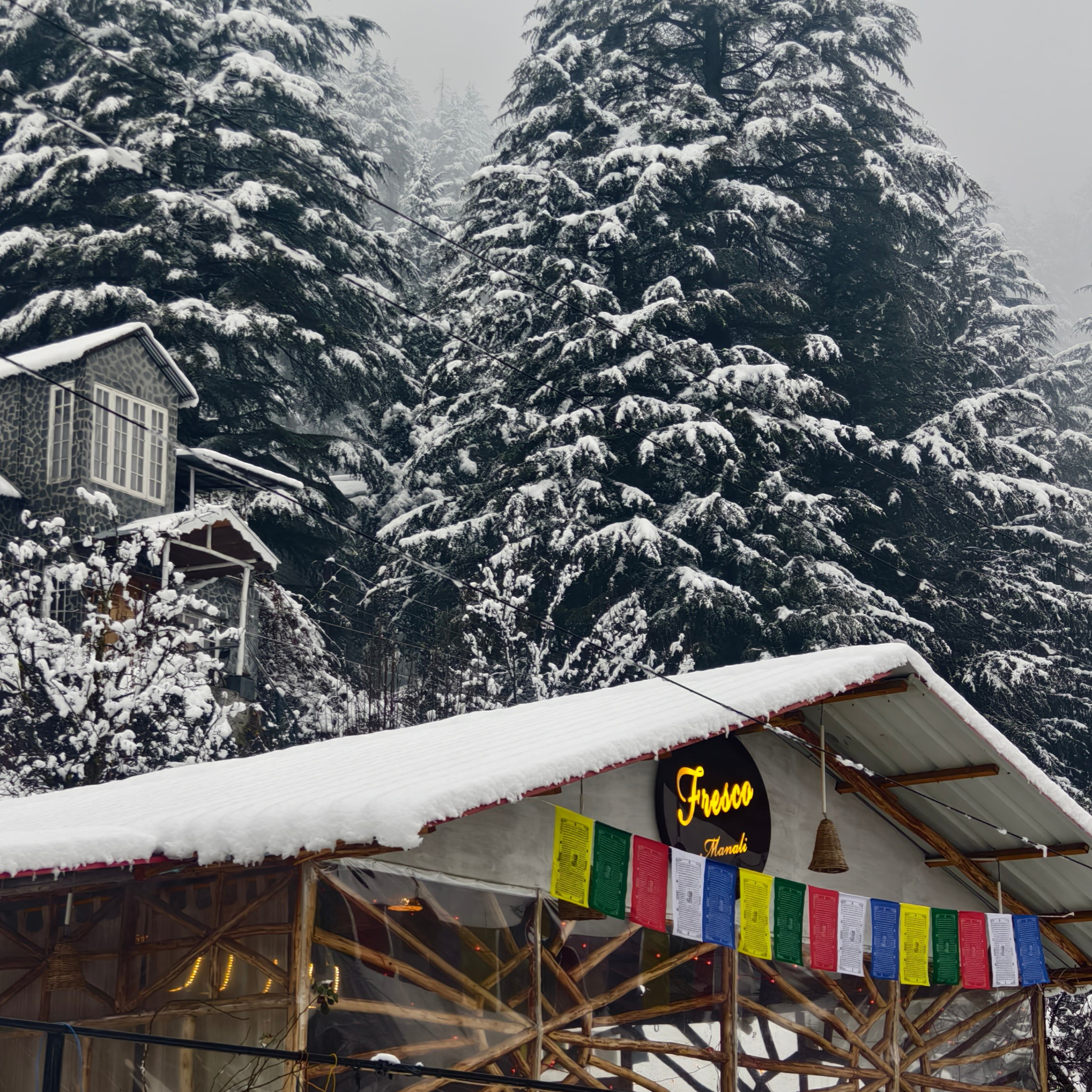 Путешествие в Долину Богов — Манали. Айгуль Лотфуллина. #АйгульТВ. Фотограф в Адлере и Сочи, Красной Поляне