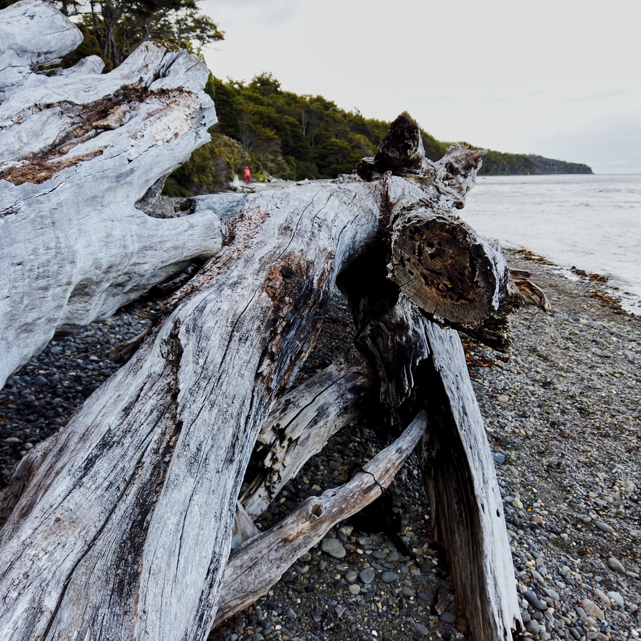 Патагония 2019. Айгуль Лотфуллина. #АйгульТВ. Фотограф в Адлере и Сочи, Красной Поляне