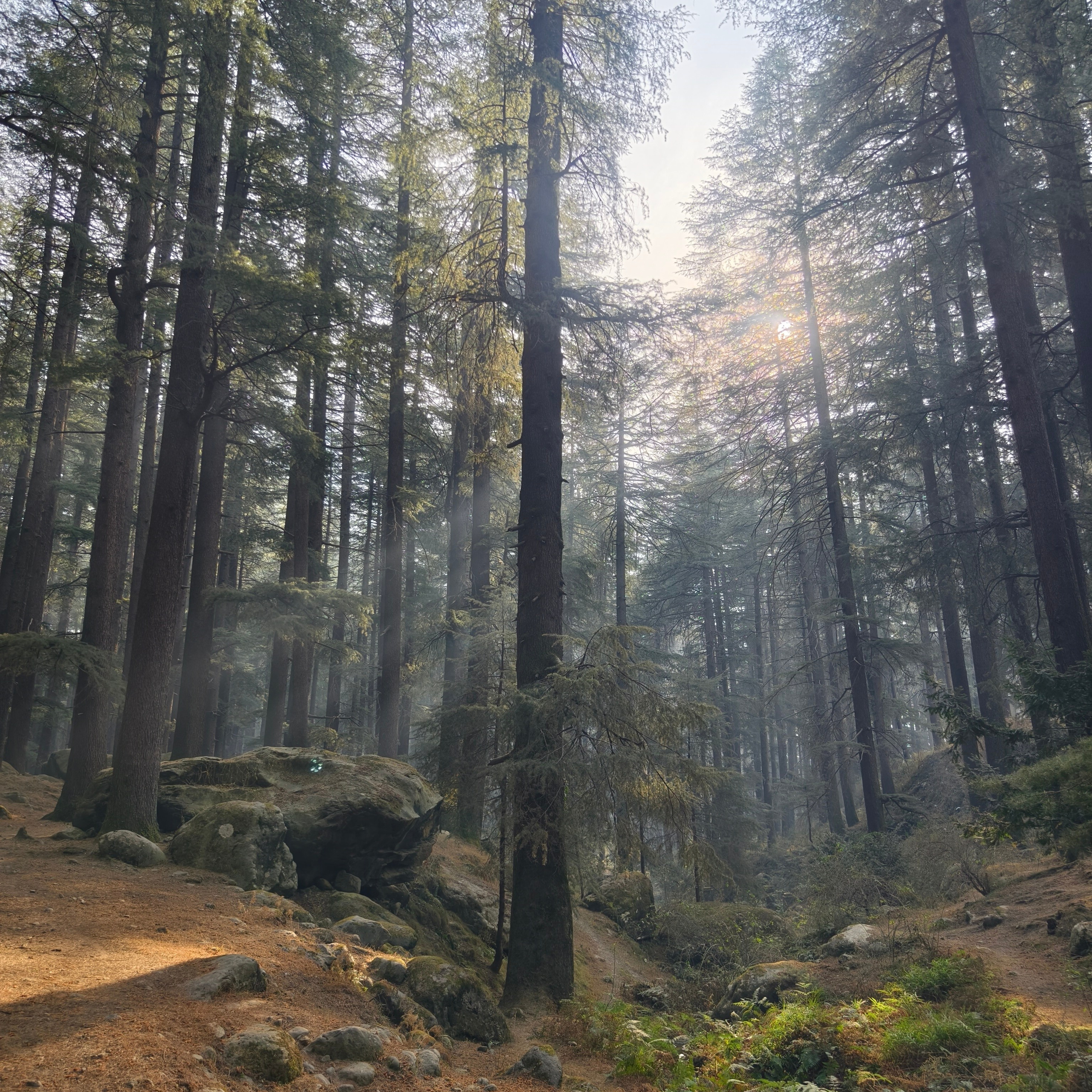 Путешествие в Долину Богов — Манали. Айгуль Лотфуллина. #АйгульТВ. Фотограф в Адлере и Сочи, Красной Поляне