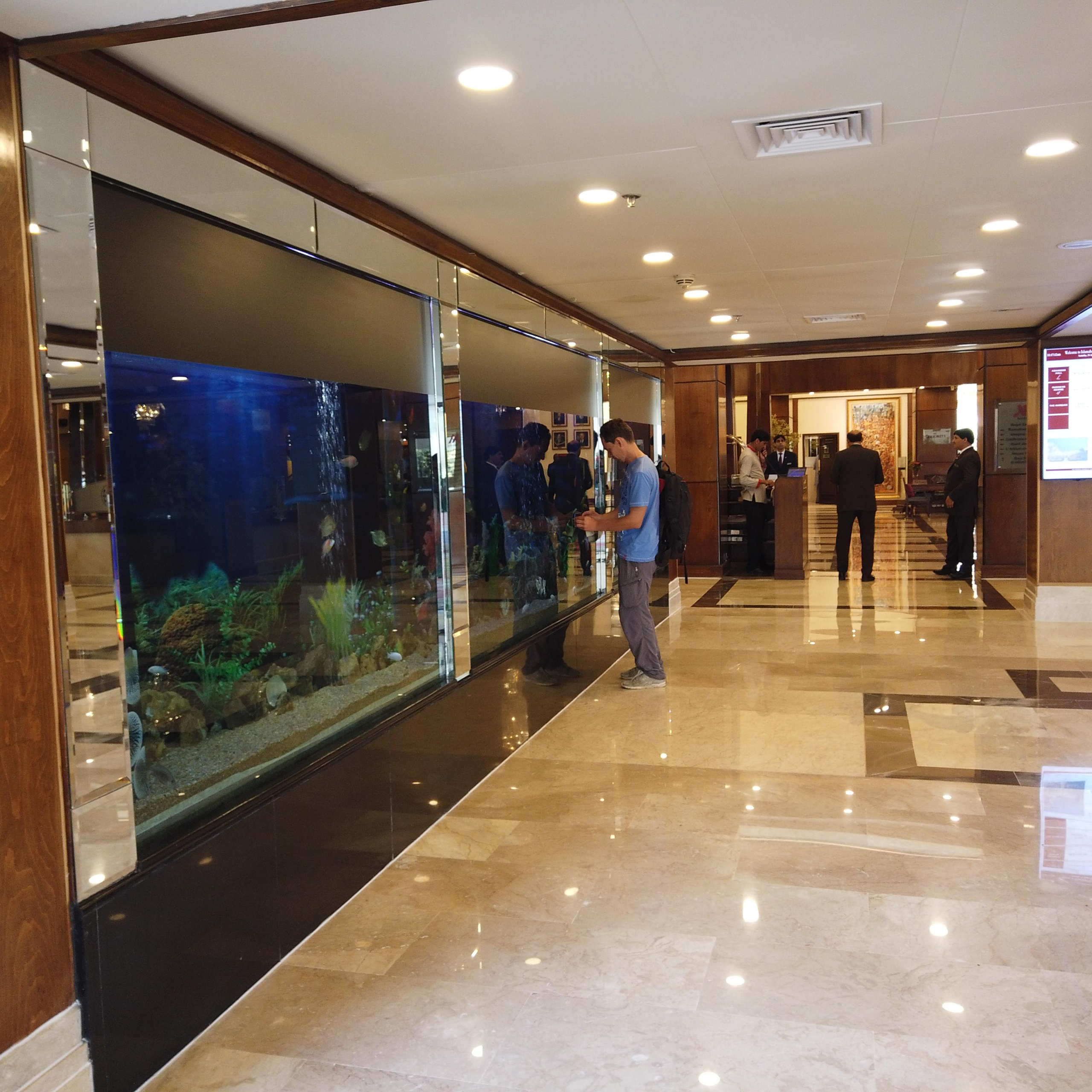 Пакистан 2019, путевые заметки, Лотфуллина Айгуль. Айгуль Лотфуллина. #АйгульТВ. Фотограф в Адлере и Сочи, Красной Поляне