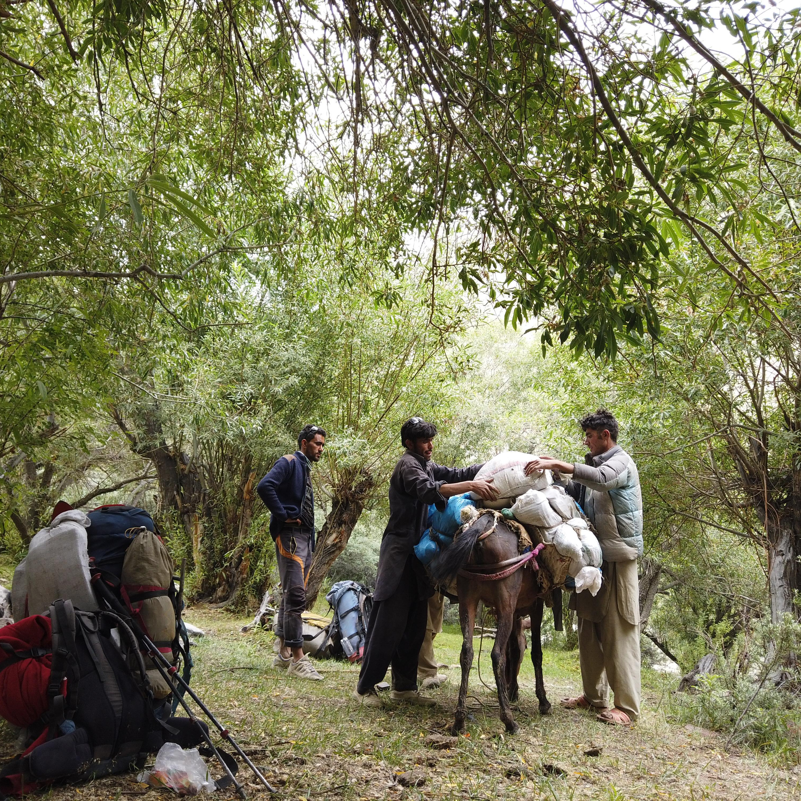 Пакистан 2019, путевые заметки, Лотфуллина Айгуль. Айгуль Лотфуллина. #АйгульТВ. Фотограф в Адлере и Сочи, Красной Поляне