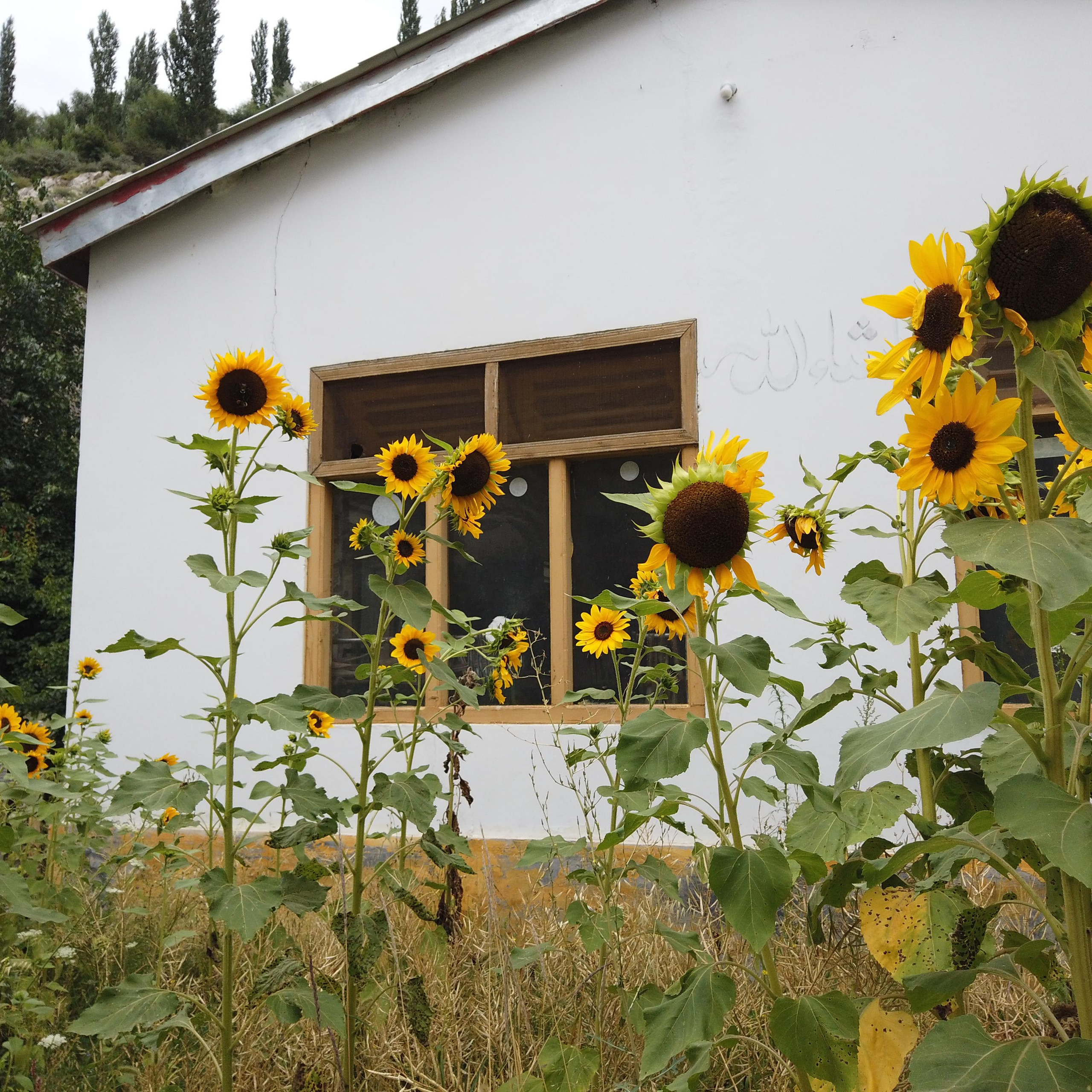 Пакистан 2019, путевые заметки, Лотфуллина Айгуль. Айгуль Лотфуллина. #АйгульТВ. Фотограф в Адлере и Сочи, Красной Поляне