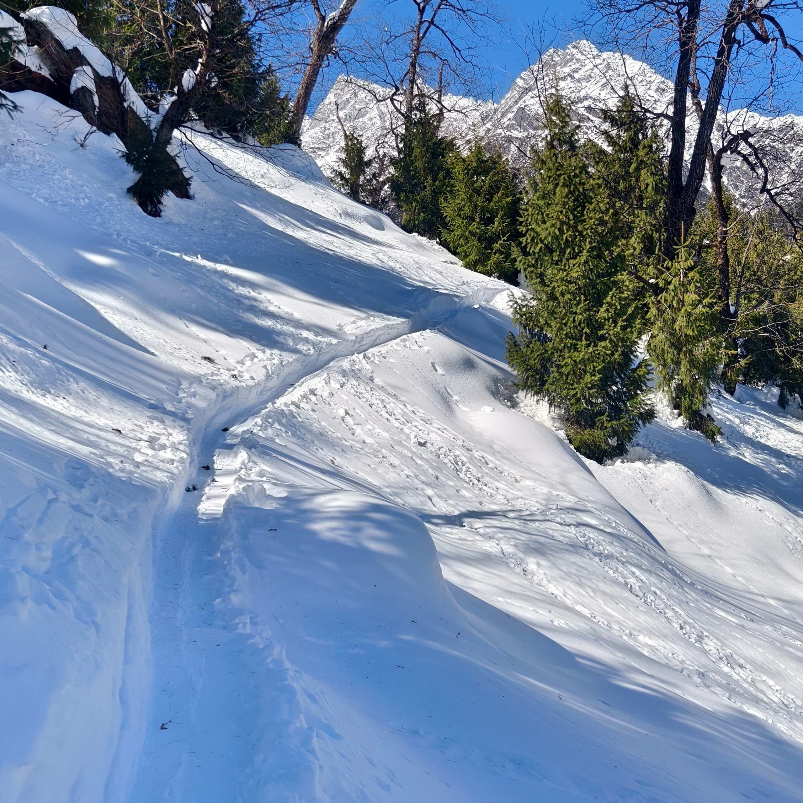 Путешествие в Долину Богов — Манали. Айгуль Лотфуллина. #АйгульТВ. Фотограф в Адлере и Сочи, Красной Поляне