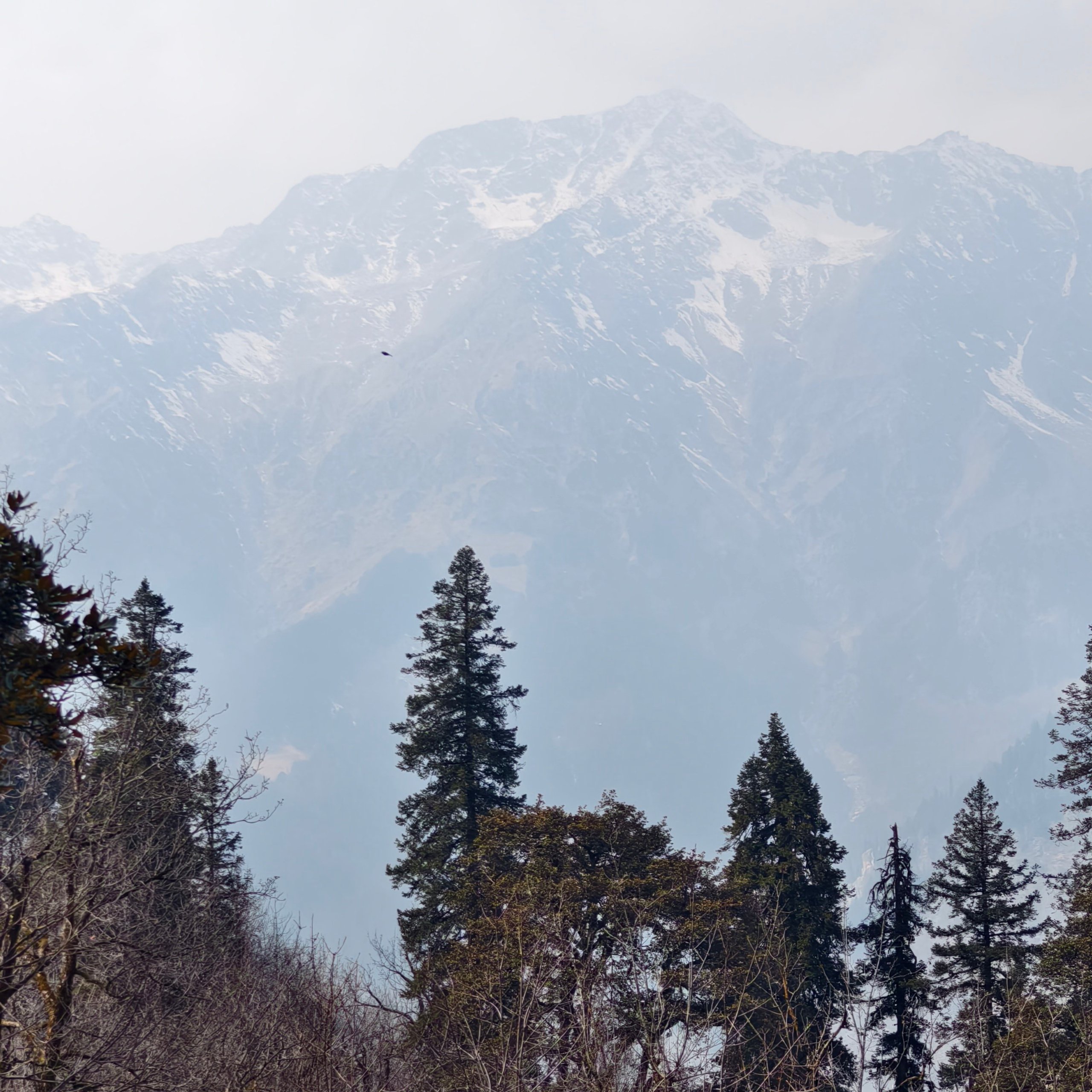 Путешествие в Долину Богов — Манали. Айгуль Лотфуллина. #АйгульТВ. Фотограф в Адлере и Сочи, Красной Поляне