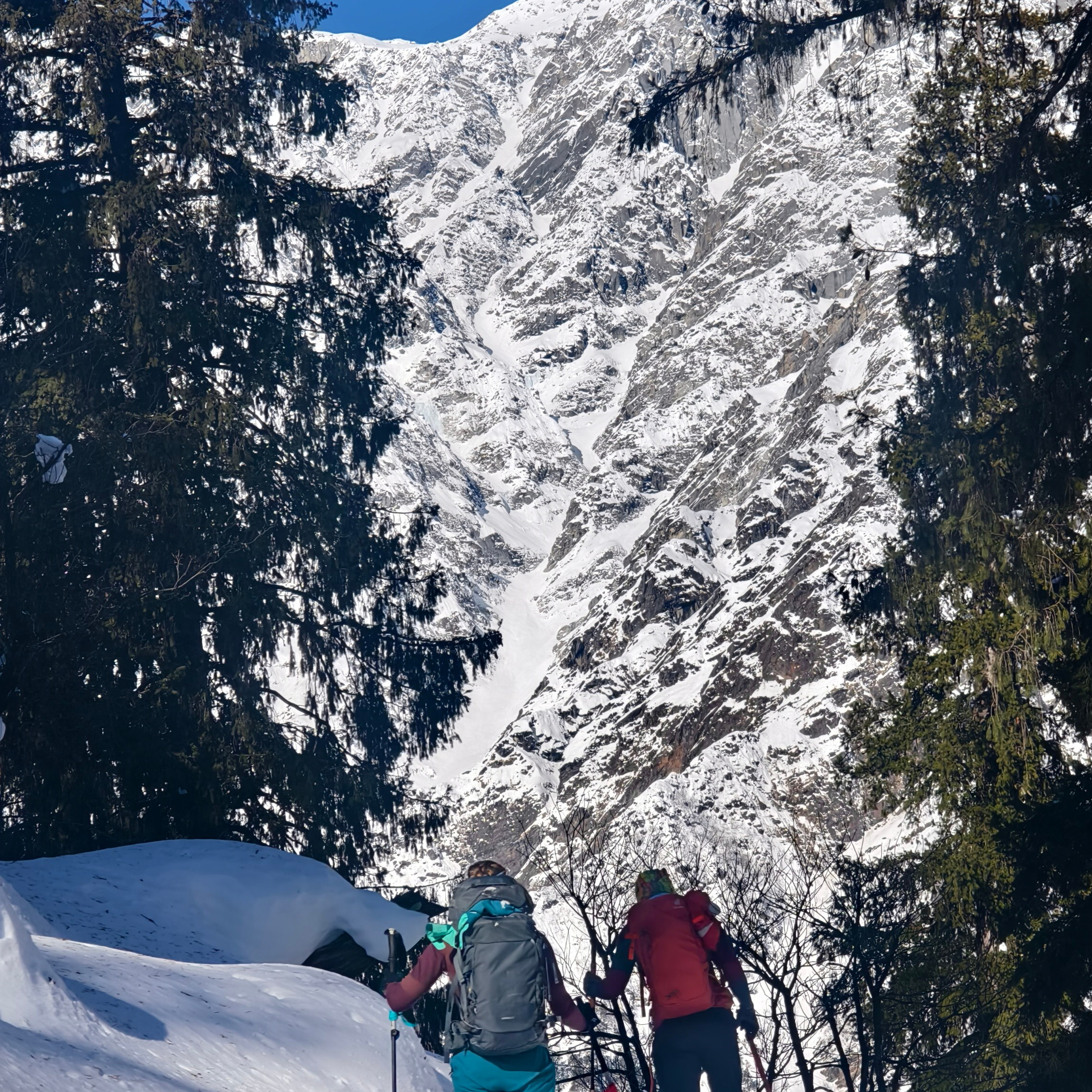 Путешествие в Долину Богов — Манали. Айгуль Лотфуллина. #АйгульТВ. Фотограф в Адлере и Сочи, Красной Поляне