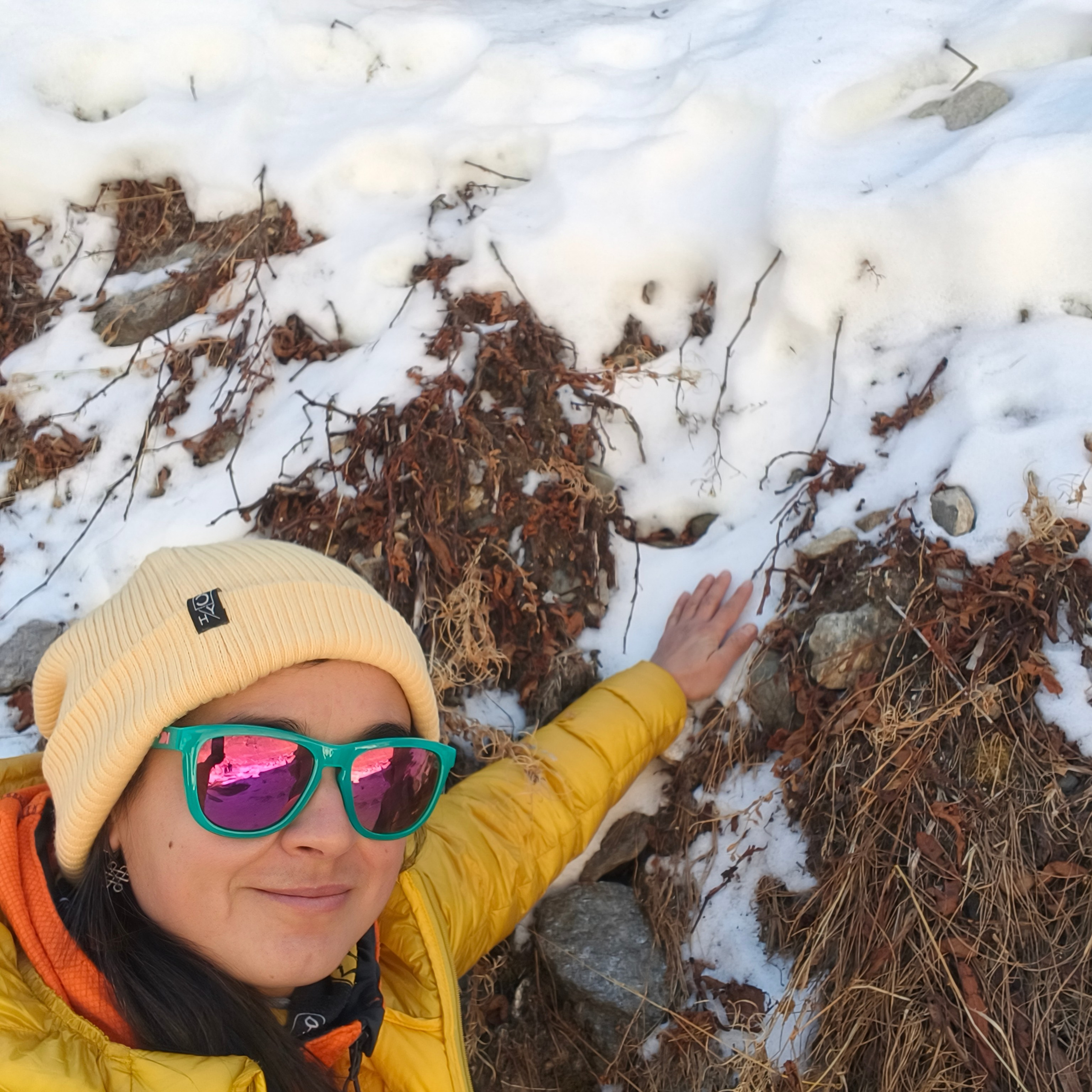 Путешествие в Долину Богов — Манали. Айгуль Лотфуллина. #АйгульТВ. Фотограф в Адлере и Сочи, Красной Поляне