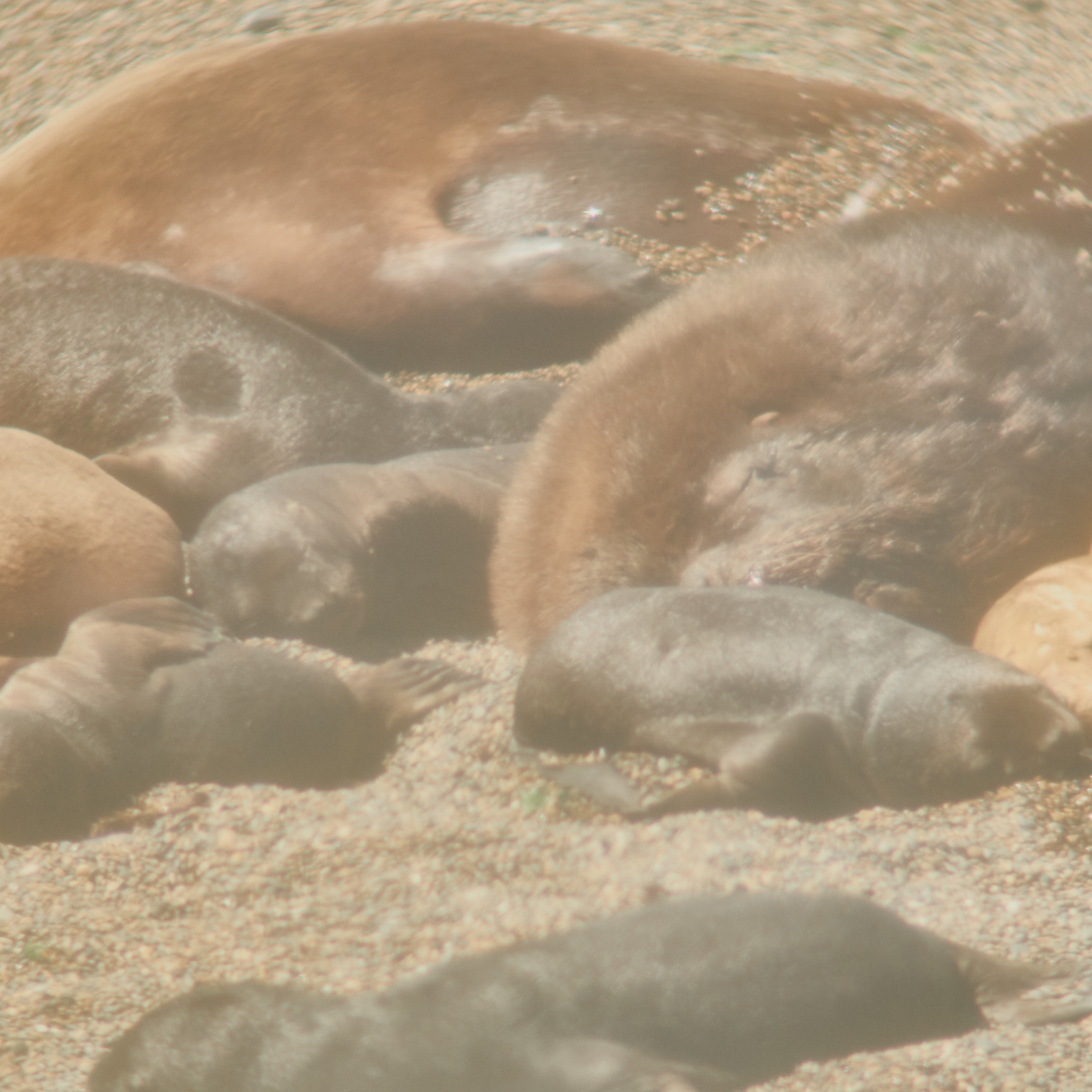 Патагония 2019. Айгуль Лотфуллина. #АйгульТВ. Фотограф в Адлере и Сочи, Красной Поляне