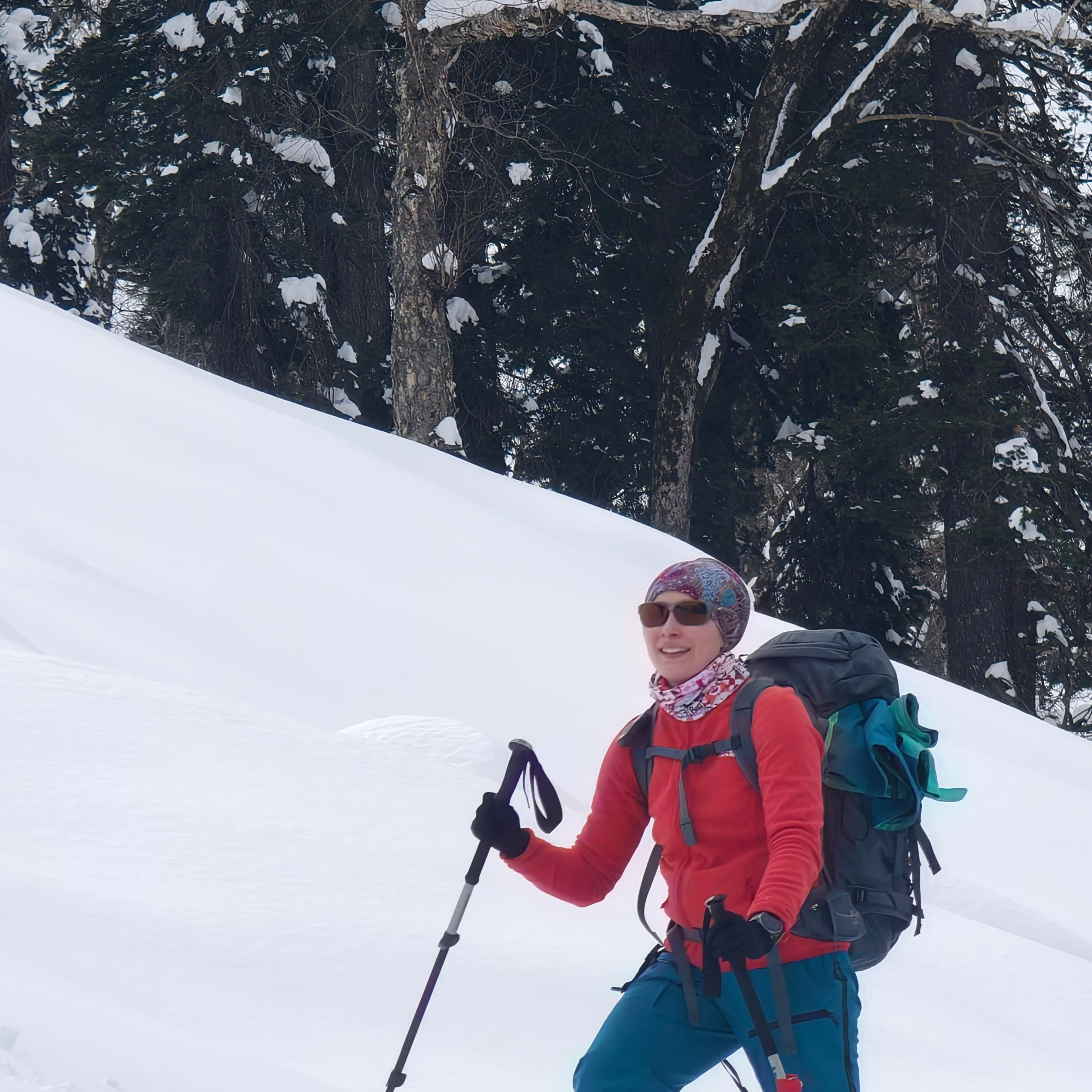 Путешествие в Долину Богов — Манали. Айгуль Лотфуллина. #АйгульТВ. Фотограф в Адлере и Сочи, Красной Поляне