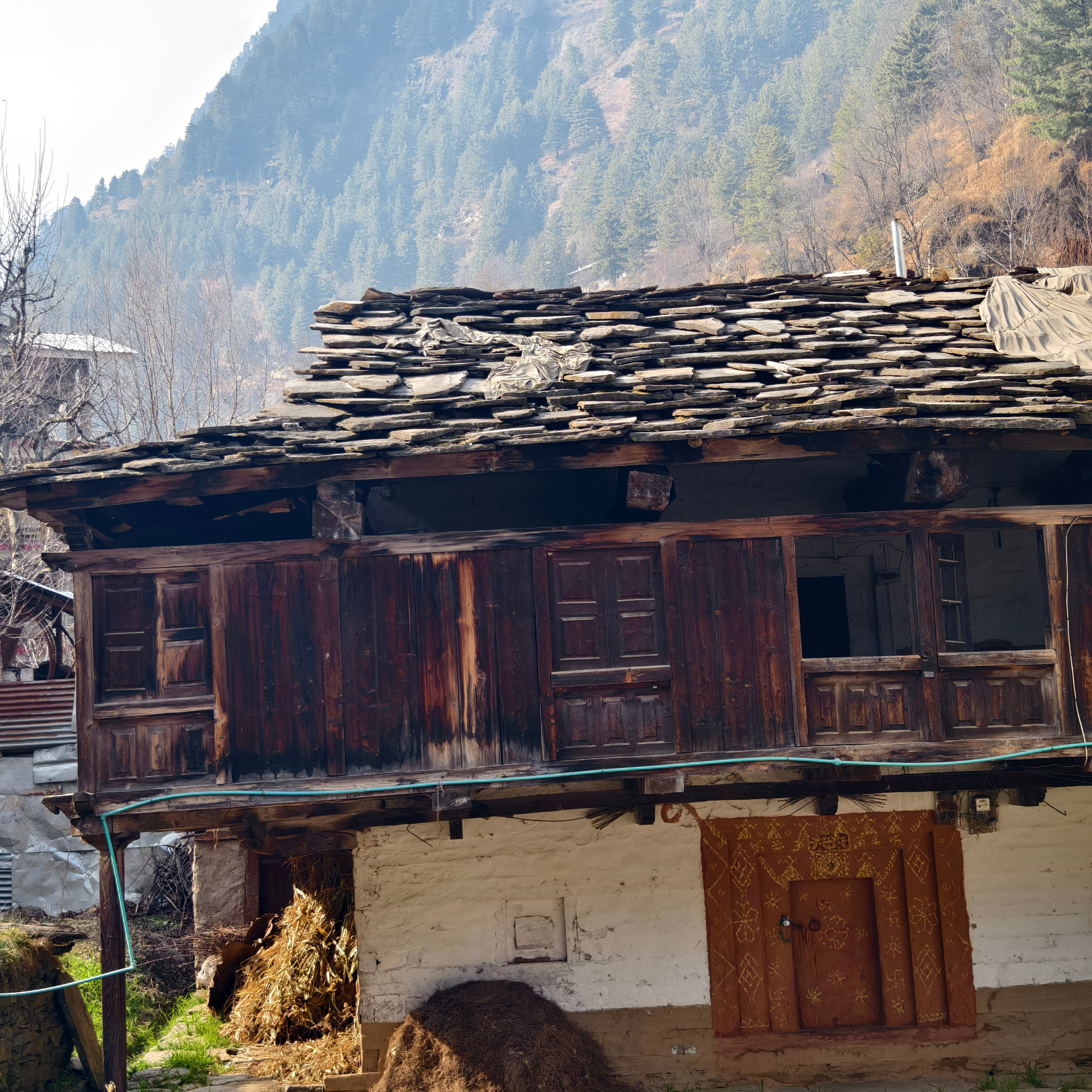 Путешествие в Долину Богов — Манали. Айгуль Лотфуллина. #АйгульТВ. Фотограф в Адлере и Сочи, Красной Поляне