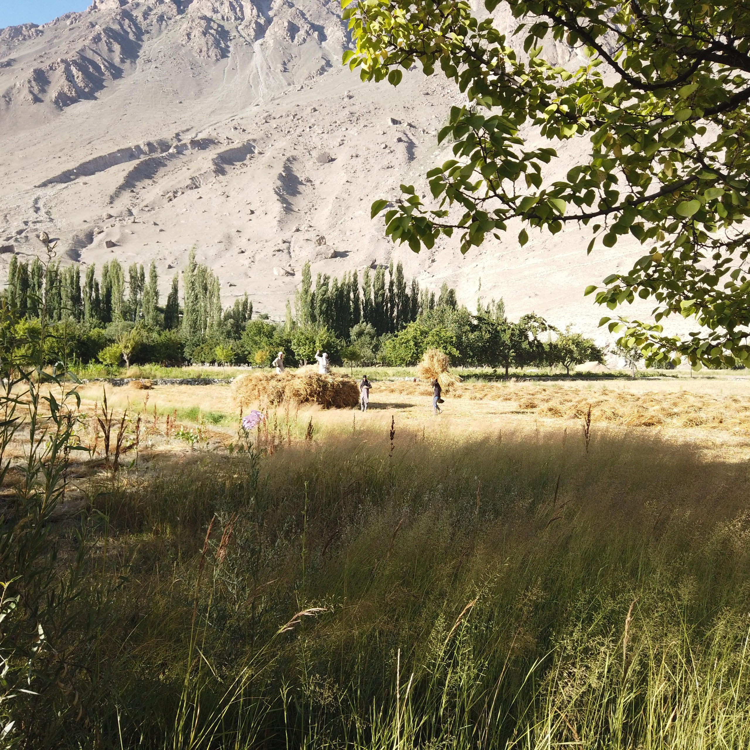 Пакистан 2019, путевые заметки, Лотфуллина Айгуль. Айгуль Лотфуллина. #АйгульТВ. Фотограф в Адлере и Сочи, Красной Поляне