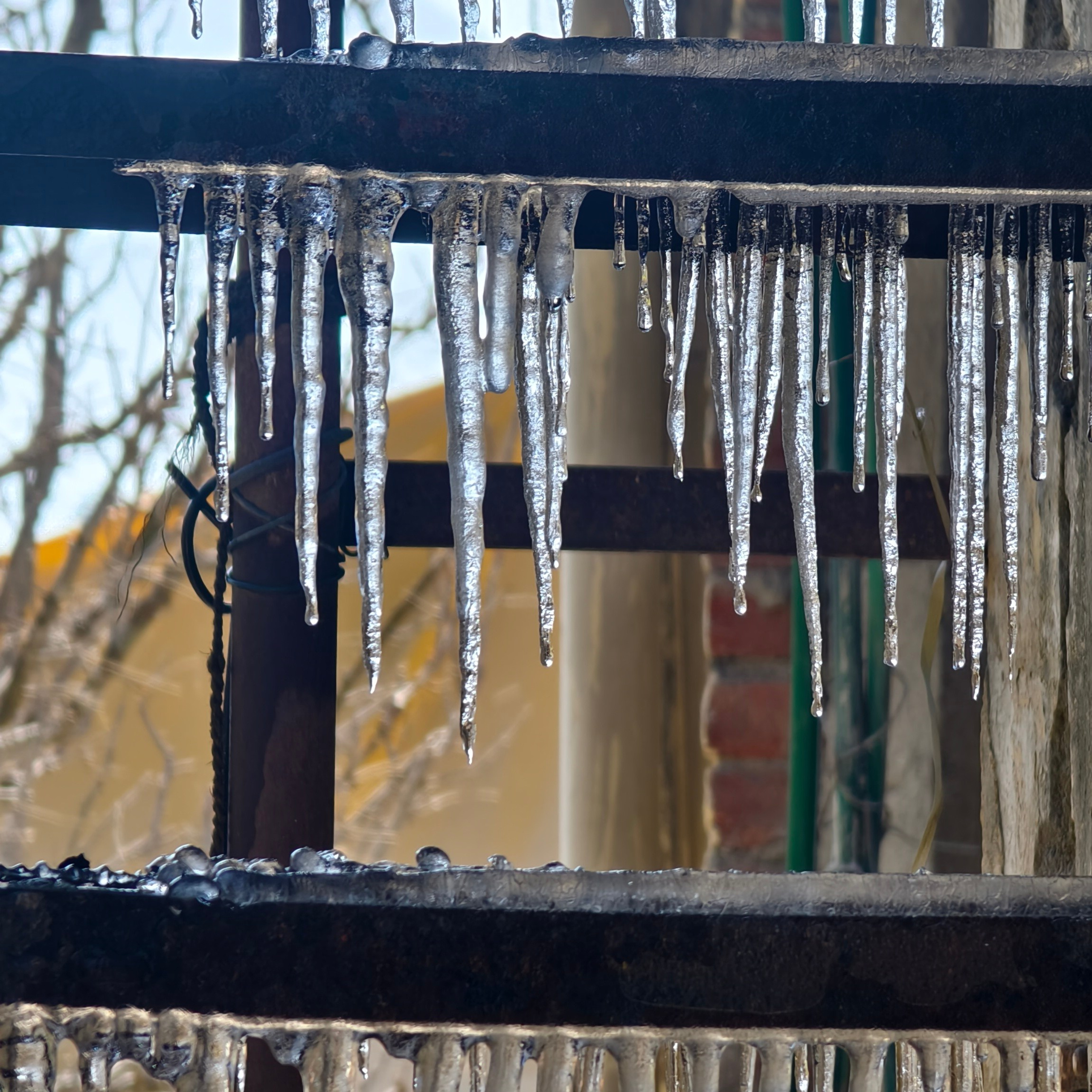 Путешествие в Долину Богов — Манали. Айгуль Лотфуллина. #АйгульТВ. Фотограф в Адлере и Сочи, Красной Поляне