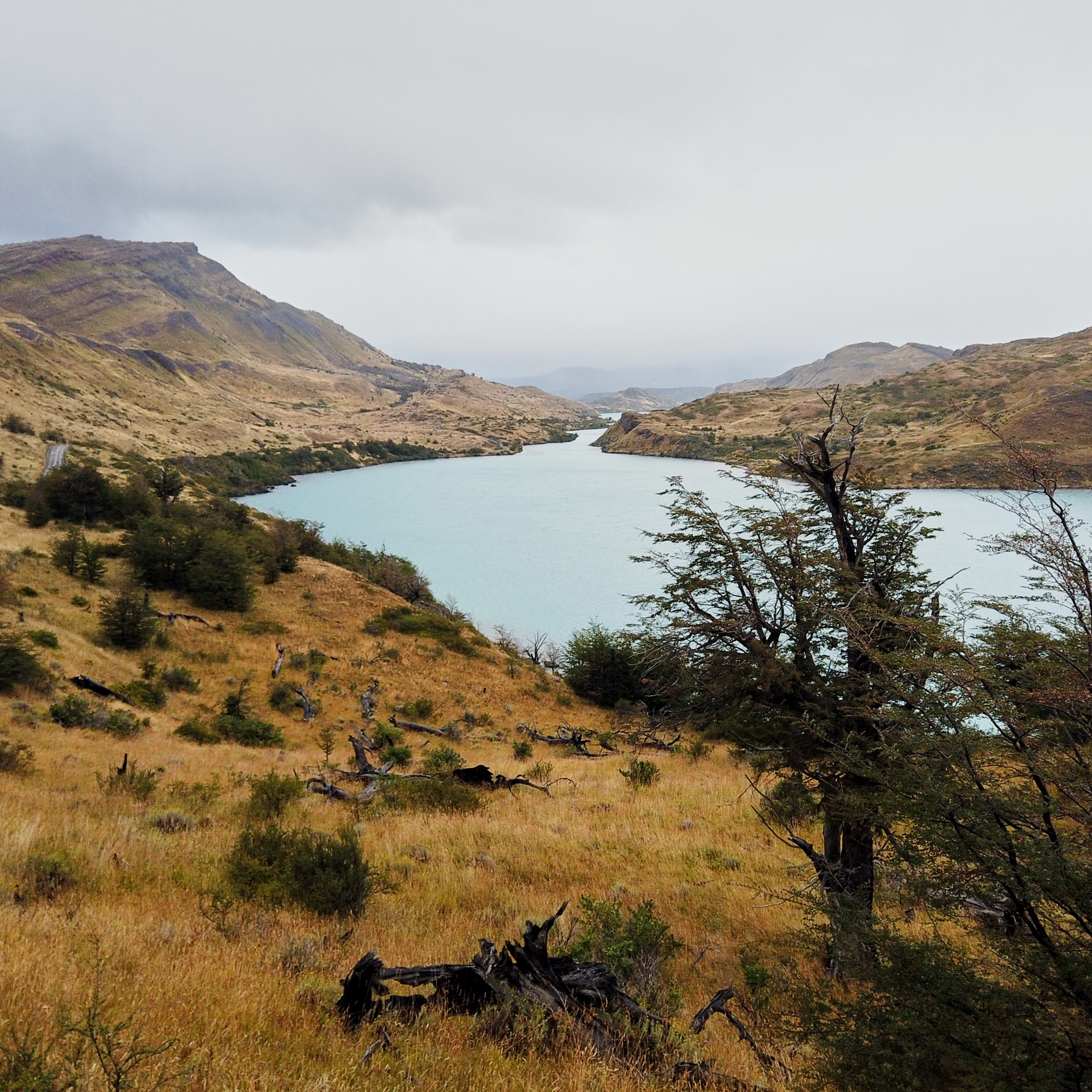 Патагония 2019. Айгуль Лотфуллина. #АйгульТВ. Фотограф в Адлере и Сочи, Красной Поляне