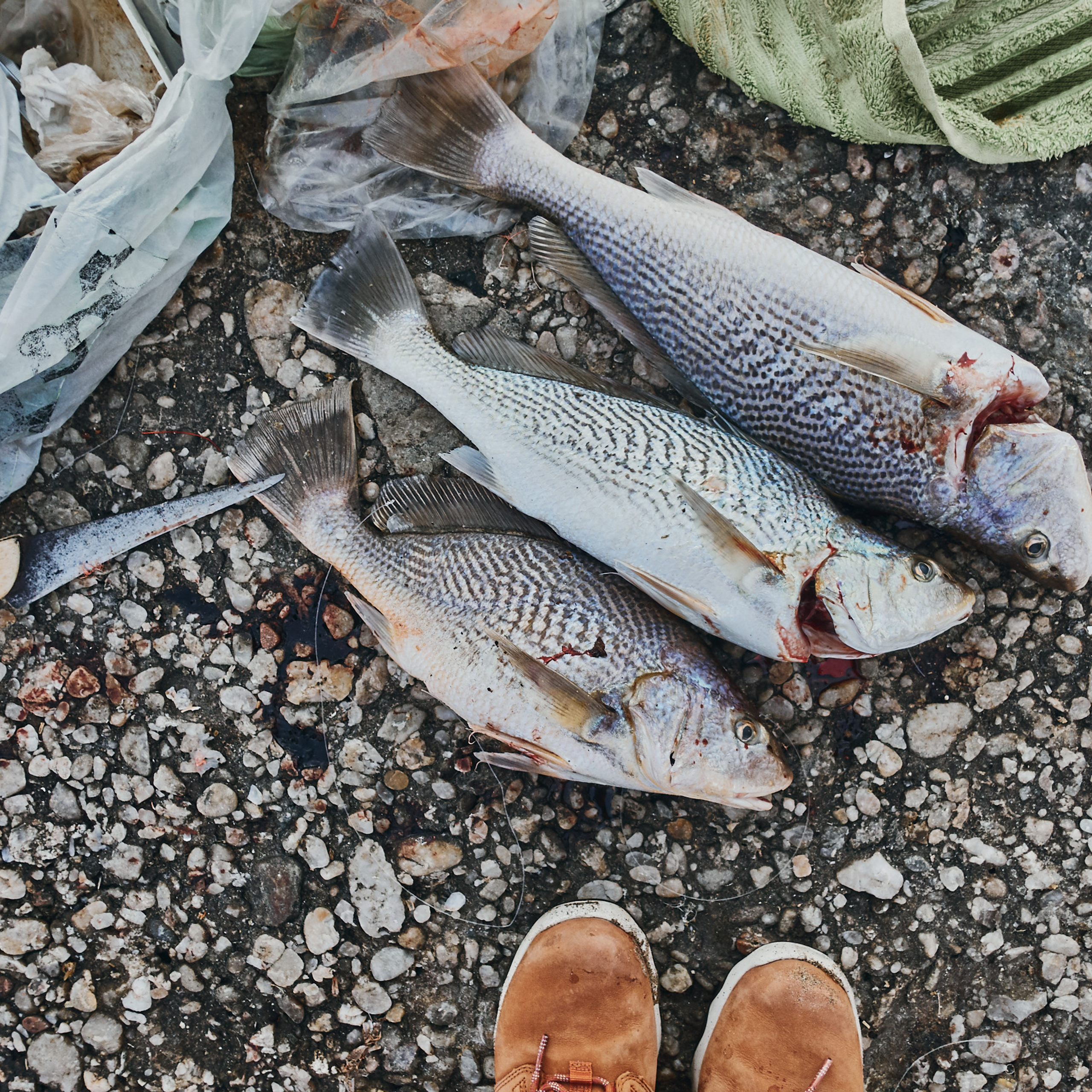 Патагония 2019. Айгуль Лотфуллина. #АйгульТВ. Фотограф в Адлере и Сочи, Красной Поляне