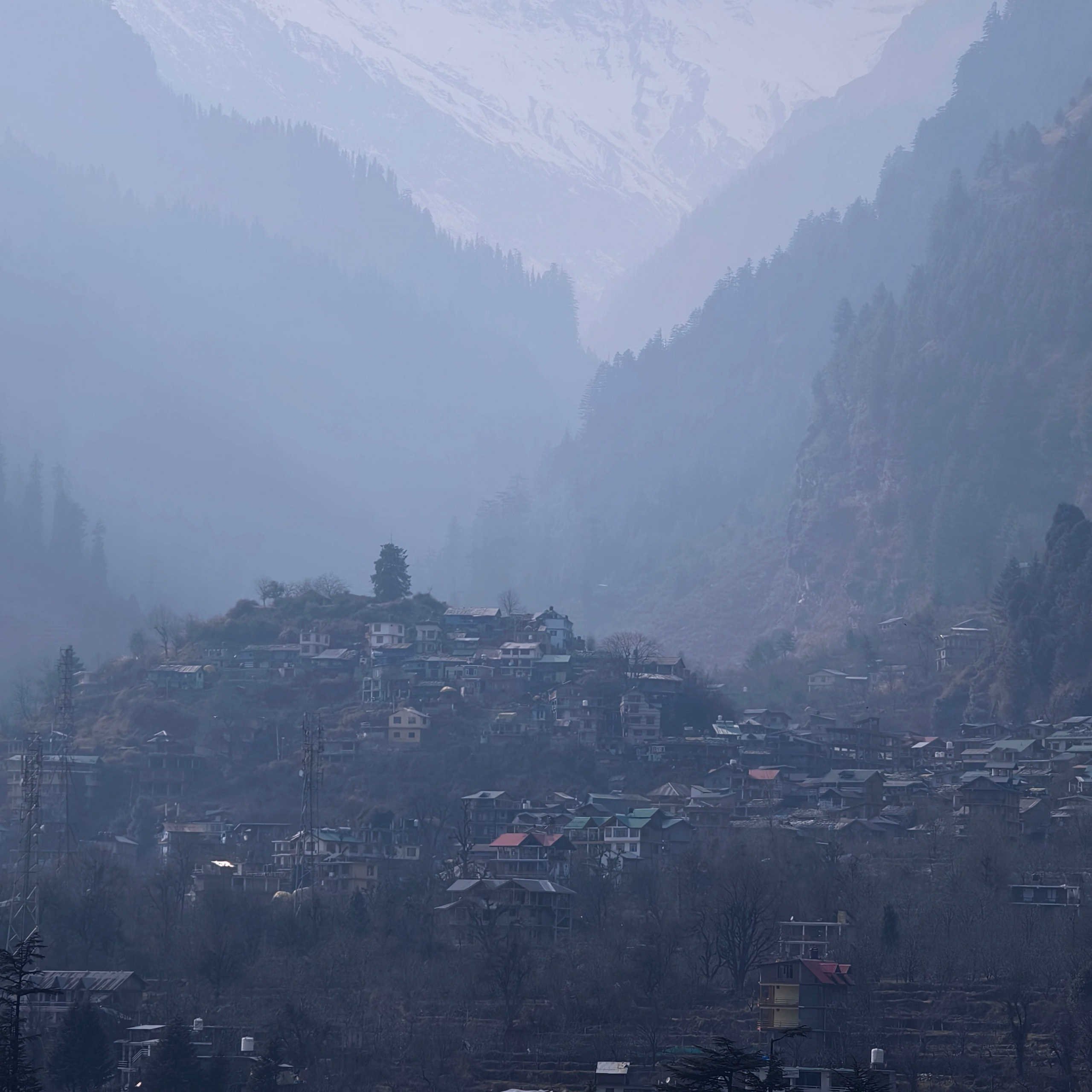 Путешествие в Долину Богов — Манали. Айгуль Лотфуллина. #АйгульТВ. Фотограф в Адлере и Сочи, Красной Поляне