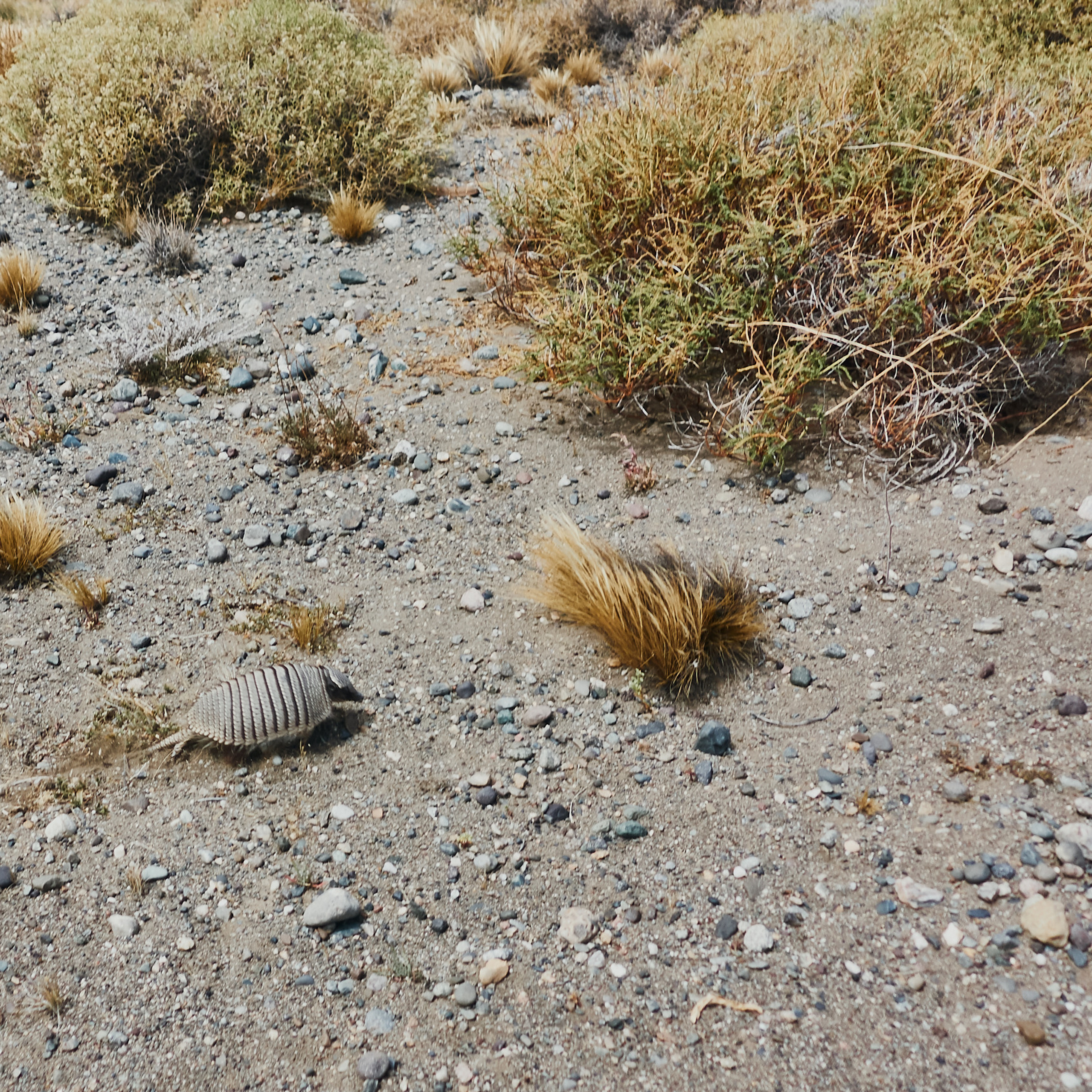 Патагония 2019. Айгуль Лотфуллина. #АйгульТВ. Фотограф в Адлере и Сочи, Красной Поляне