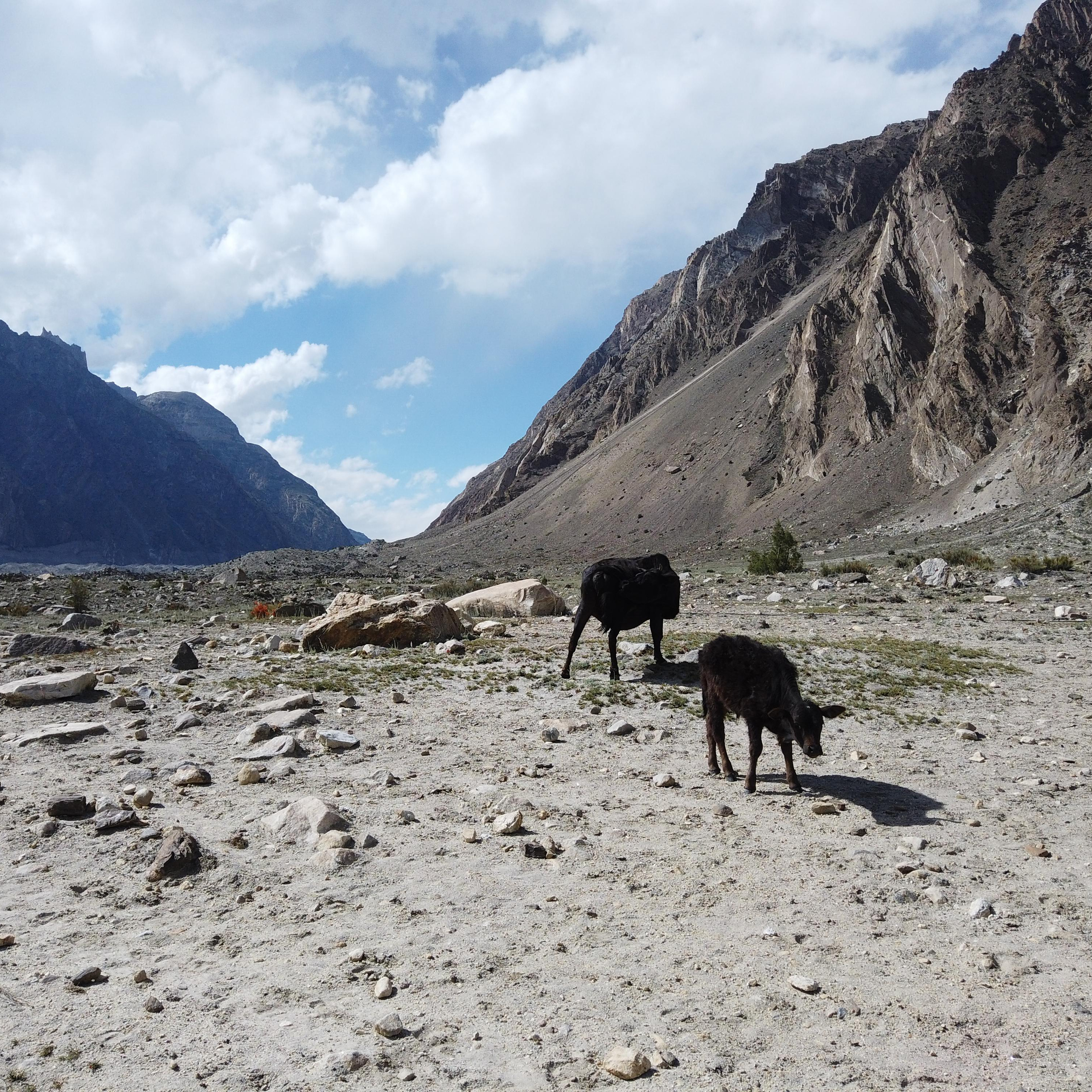 Пакистан 2019, путевые заметки, Лотфуллина Айгуль. Айгуль Лотфуллина. #АйгульТВ. Фотограф в Адлере и Сочи, Красной Поляне
