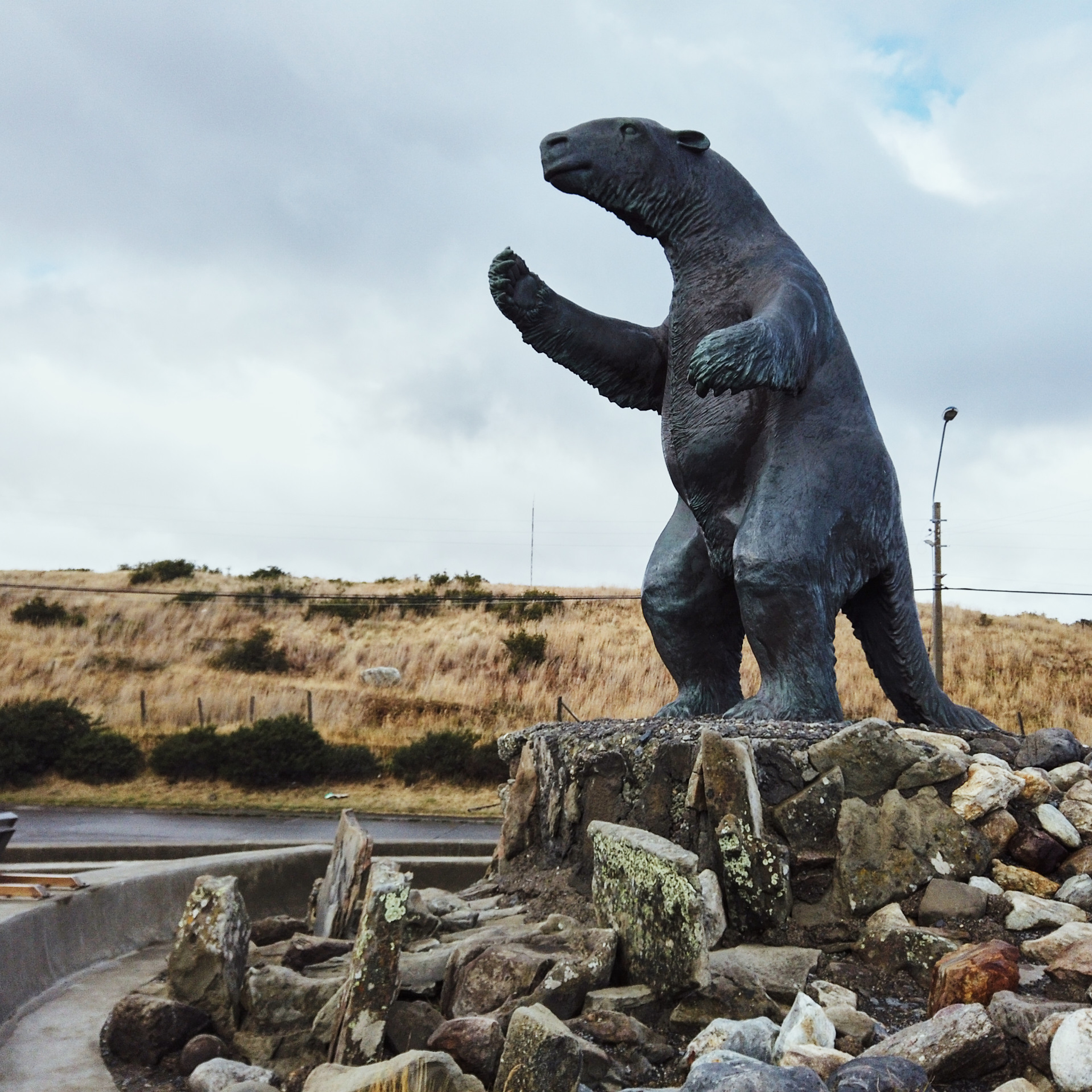 Патагония 2019. Айгуль Лотфуллина. #АйгульТВ. Фотограф в Адлере и Сочи, Красной Поляне