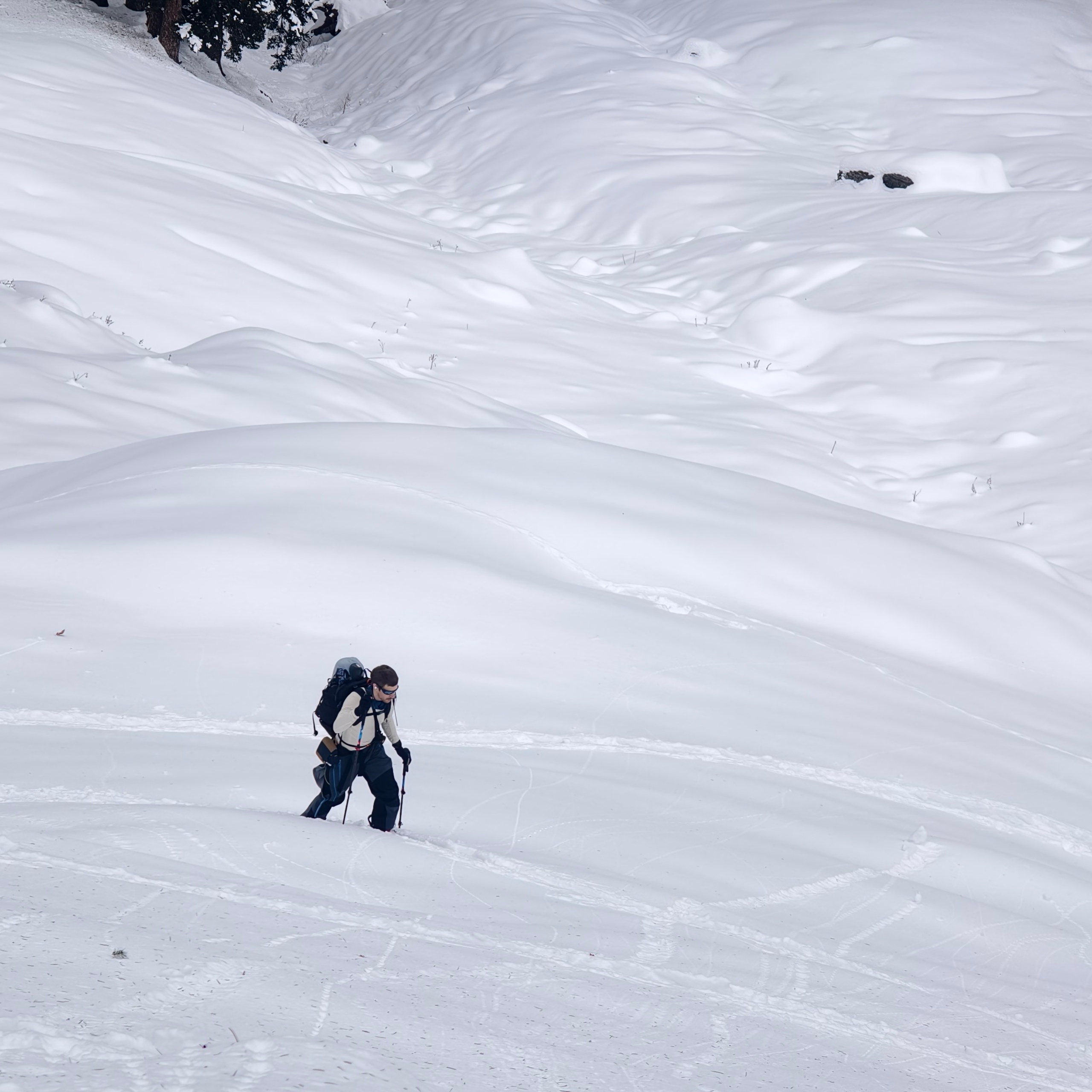 Путешествие в Долину Богов — Манали. Айгуль Лотфуллина. #АйгульТВ. Фотограф в Адлере и Сочи, Красной Поляне